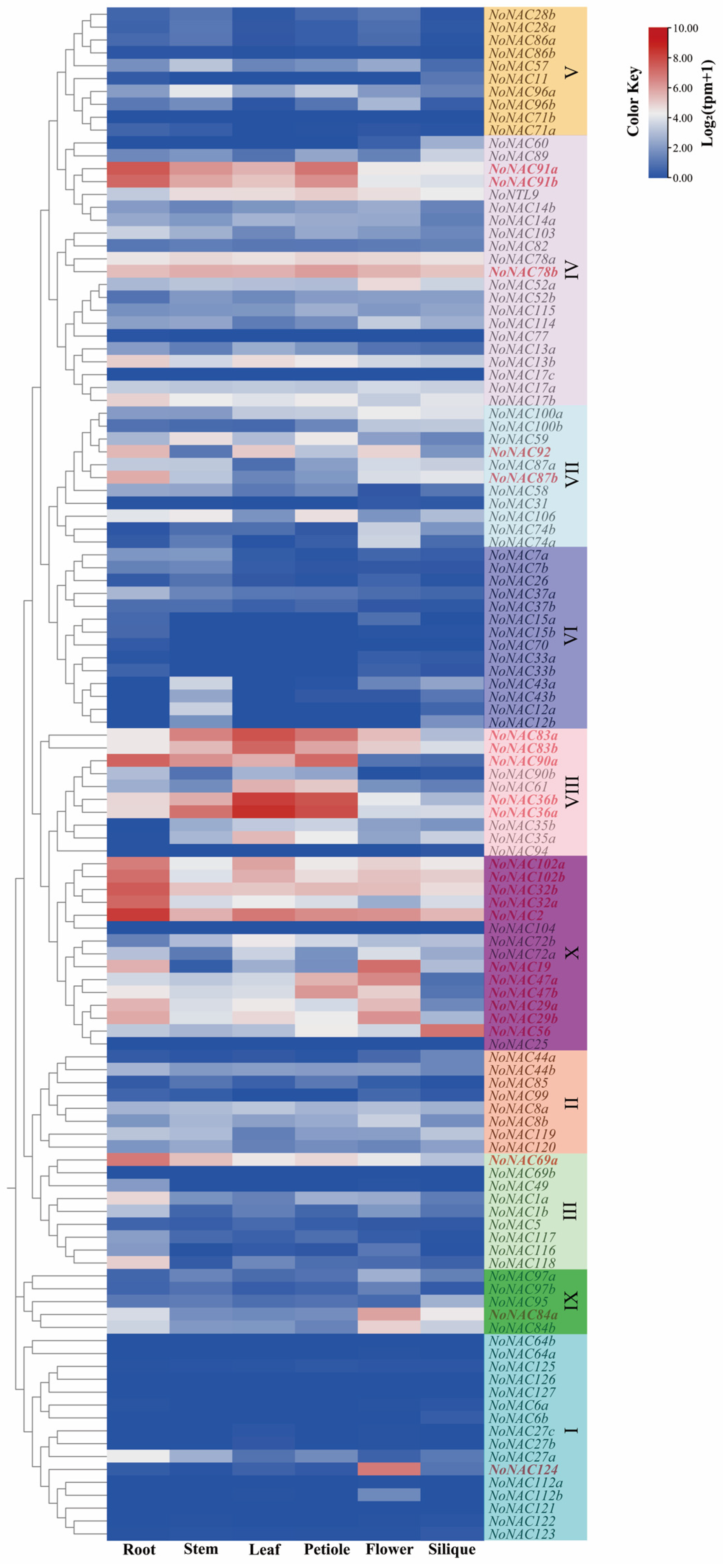 Horticulturae 10 01219 g004