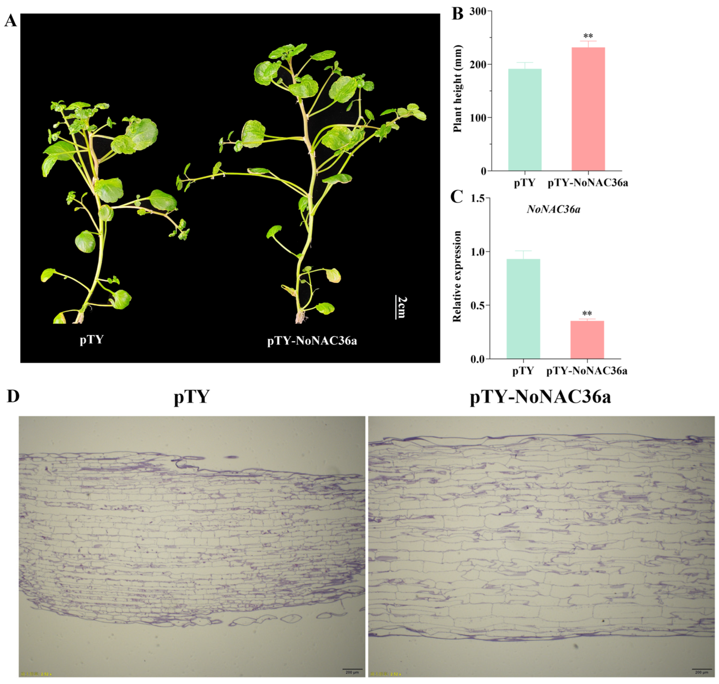 Horticulturae 10 01219 g007
