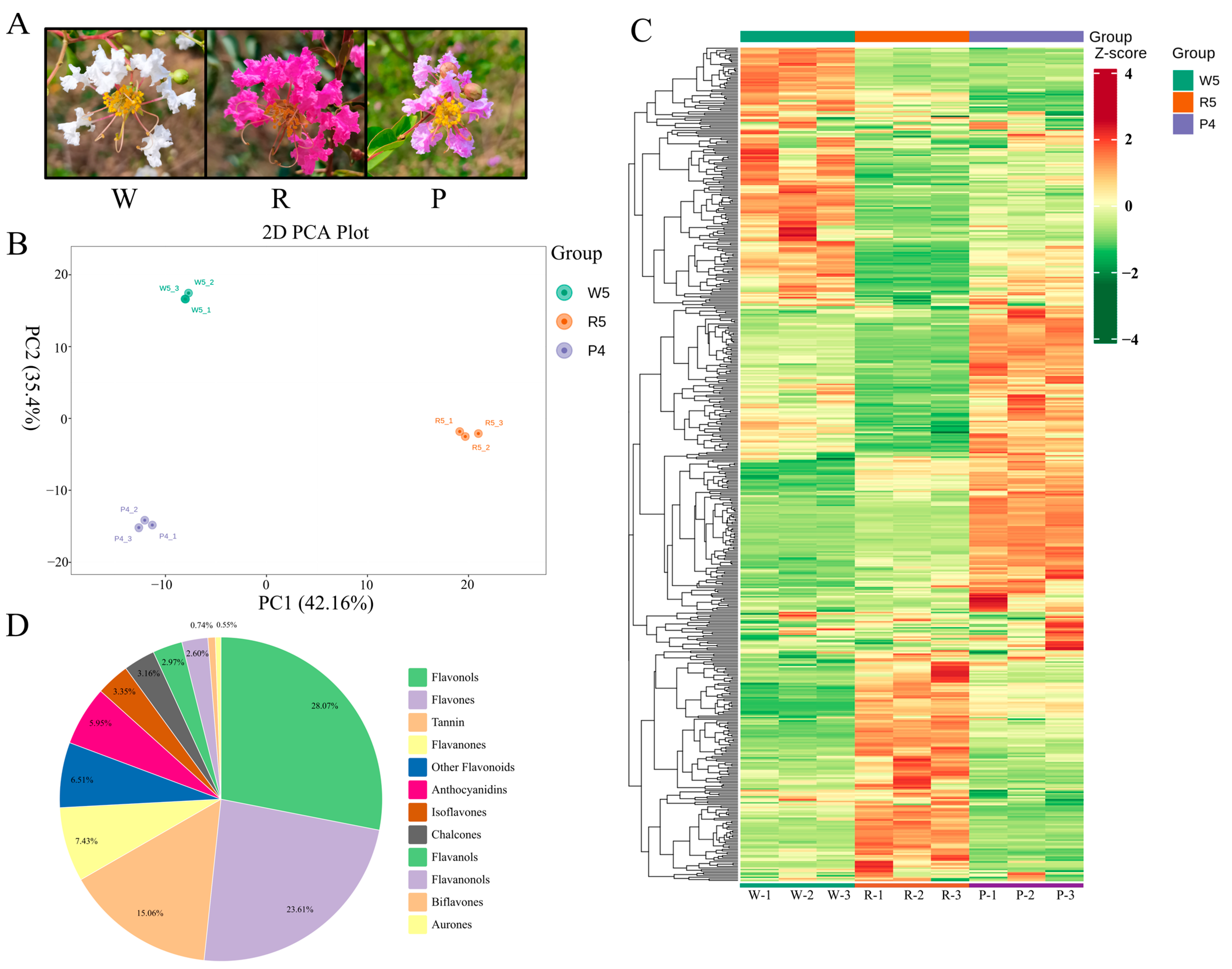 Horticulturae 10 01229 g001