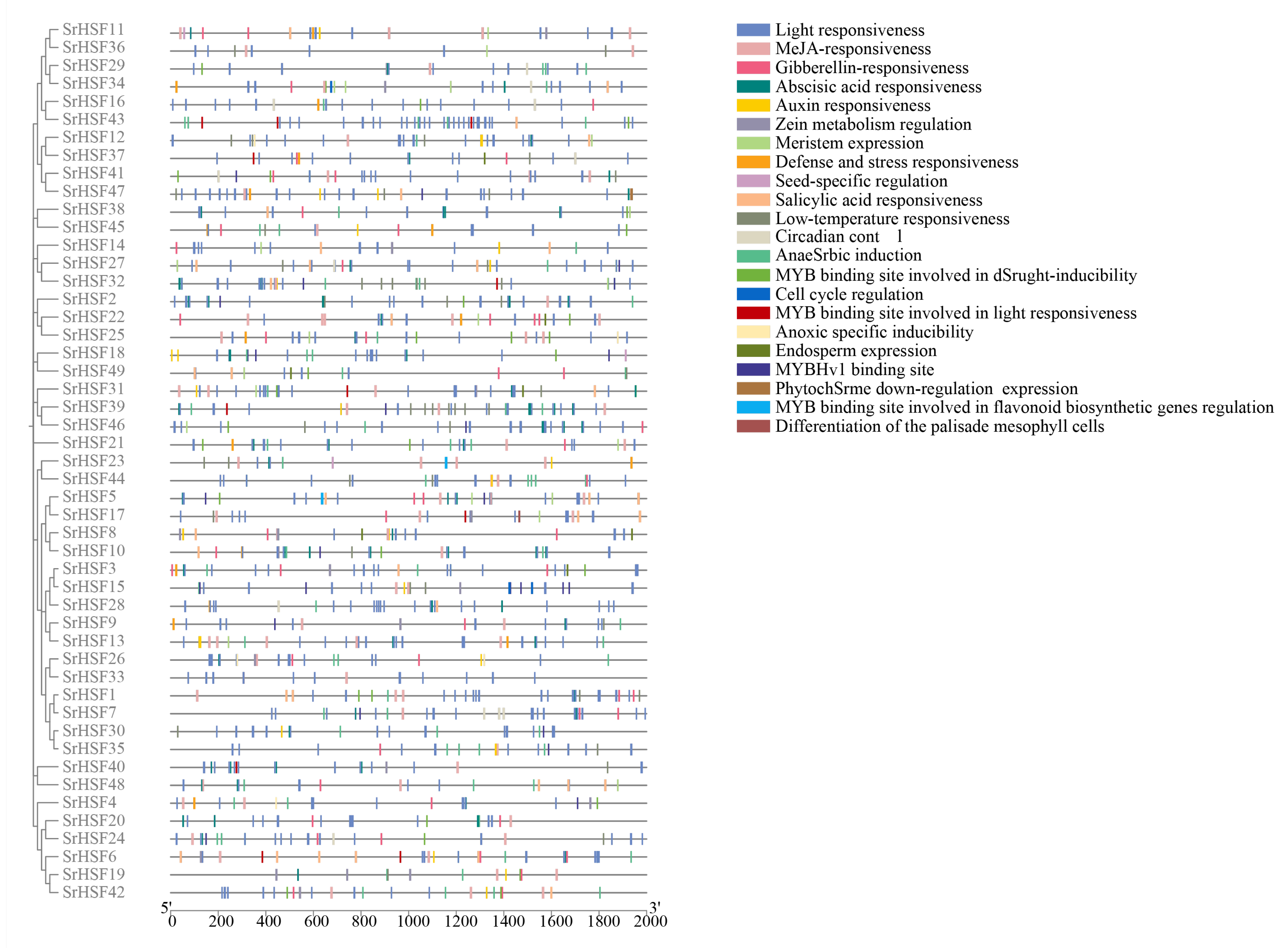 Horticulturae 10 01250 g004