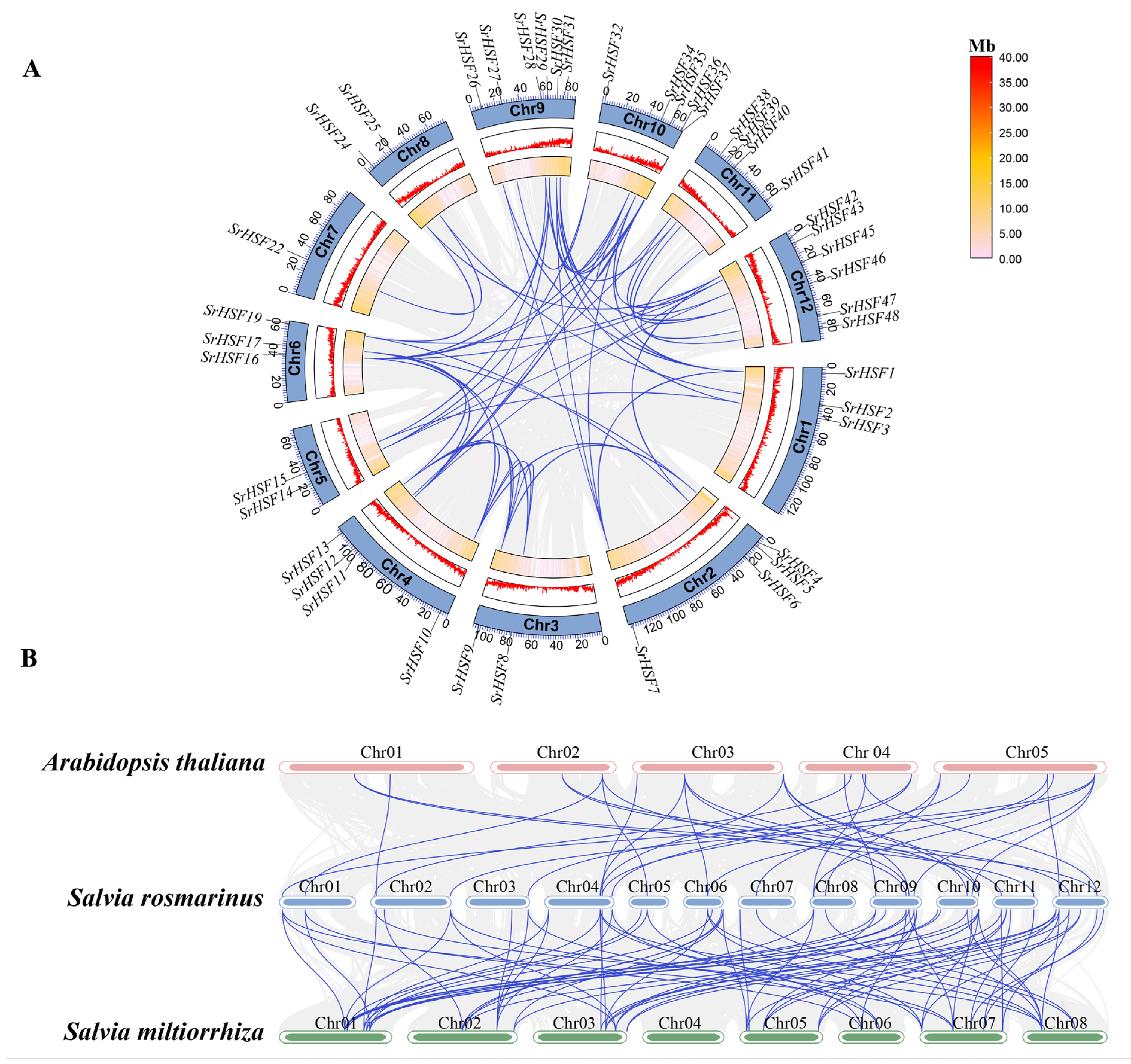 Horticulturae 10 01250 g006