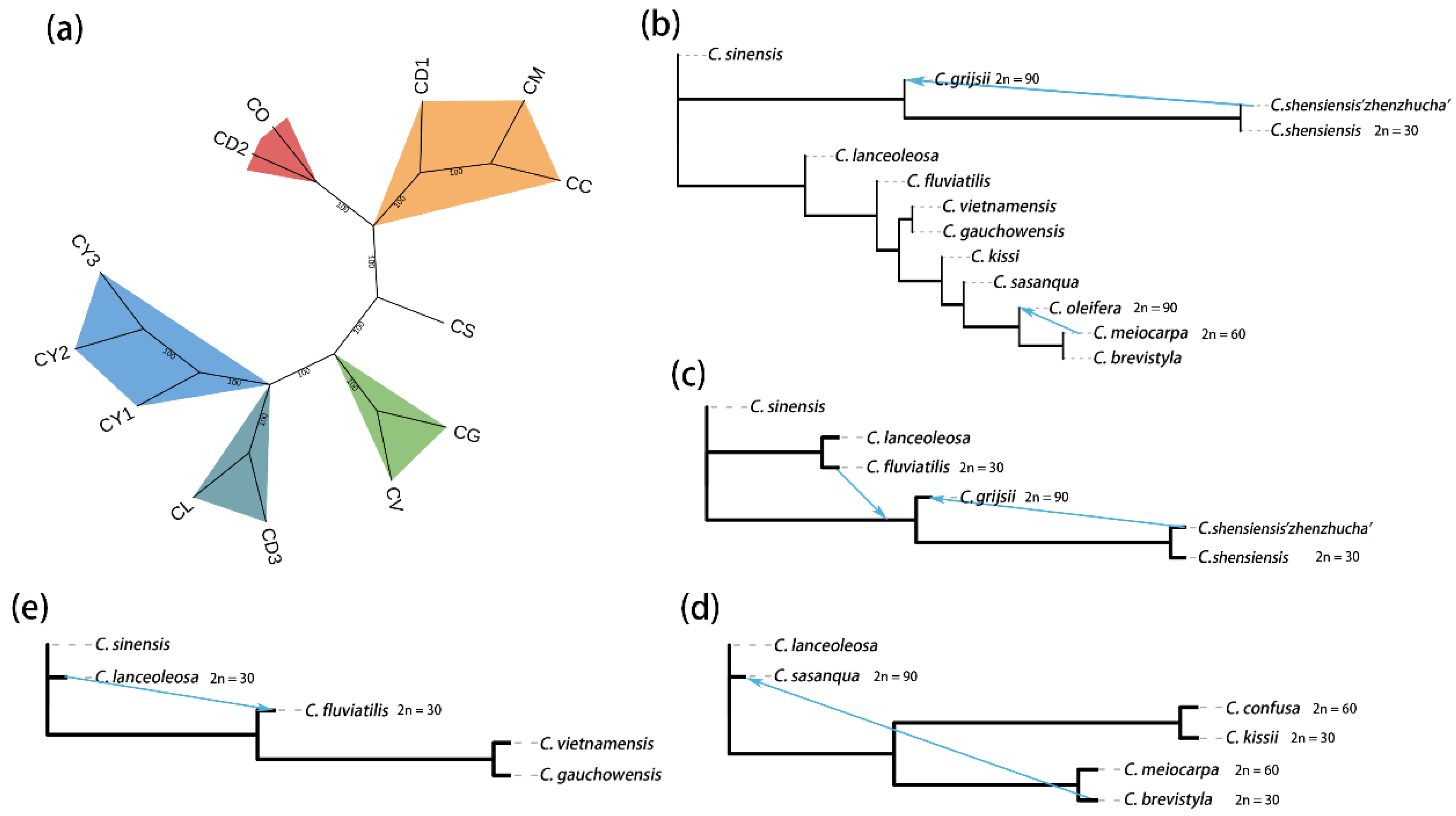 Horticulturae 10 01252 g002