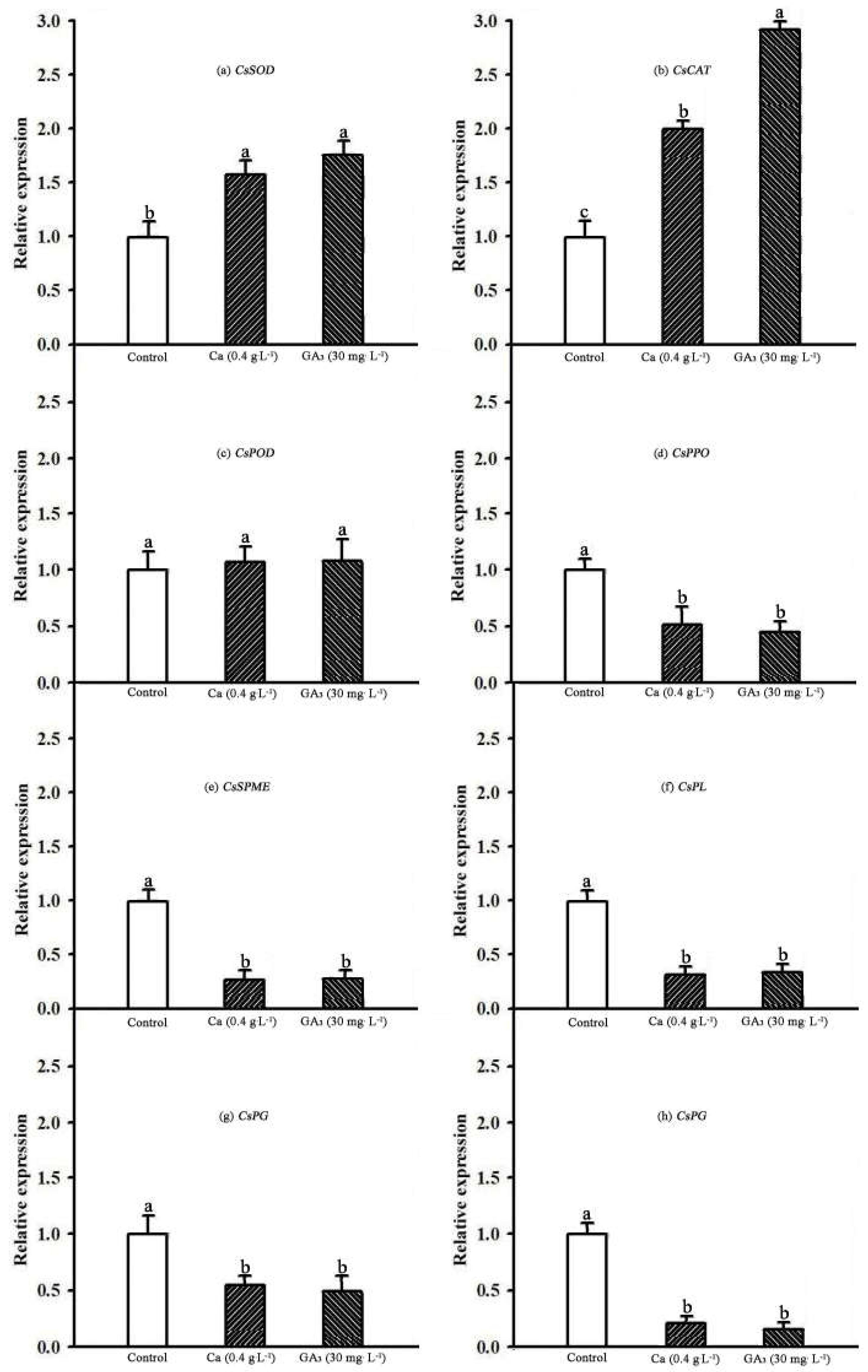Horticulturae 10 01283 g002