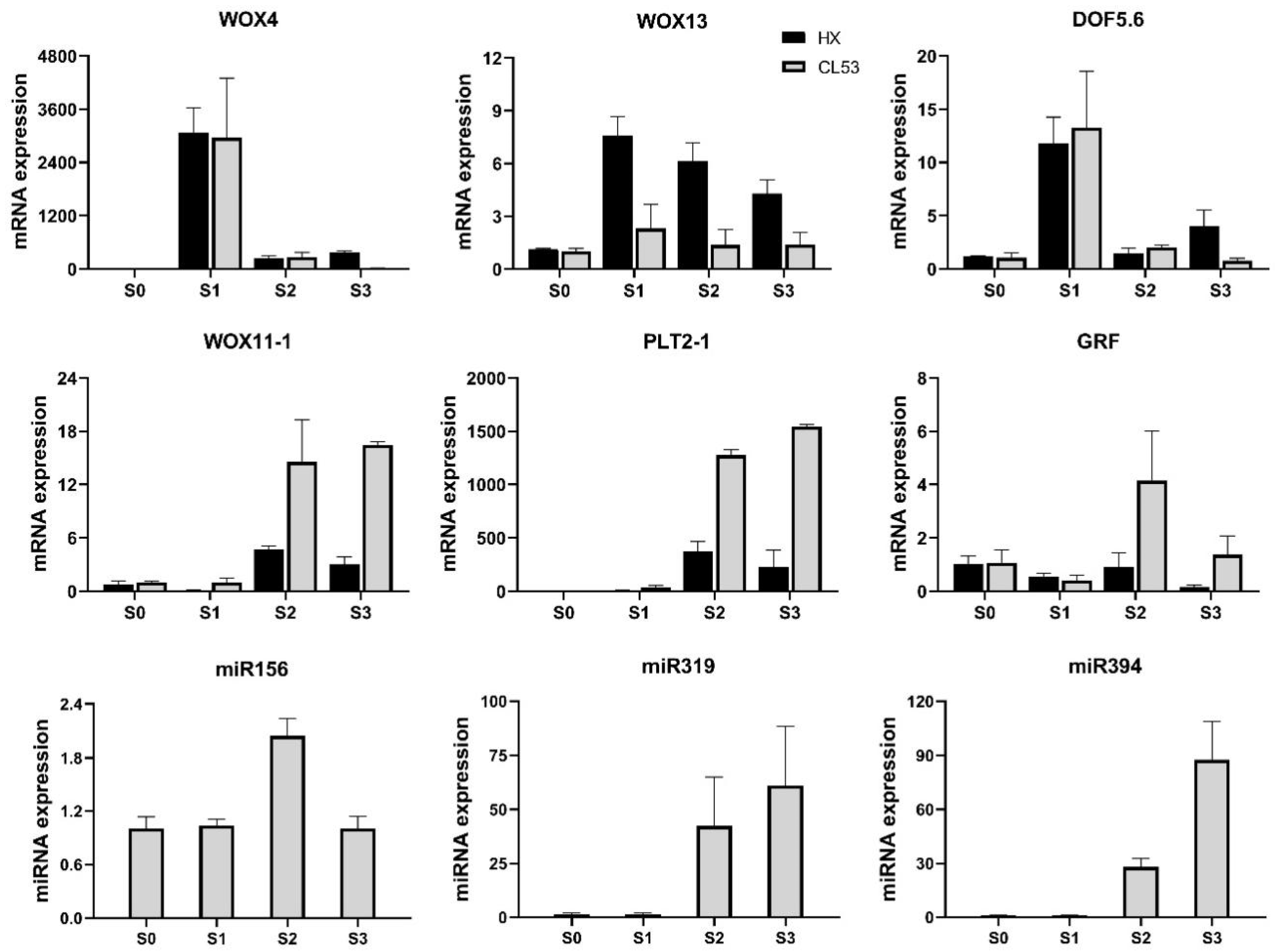 Horticulturae 10 01291 g005
