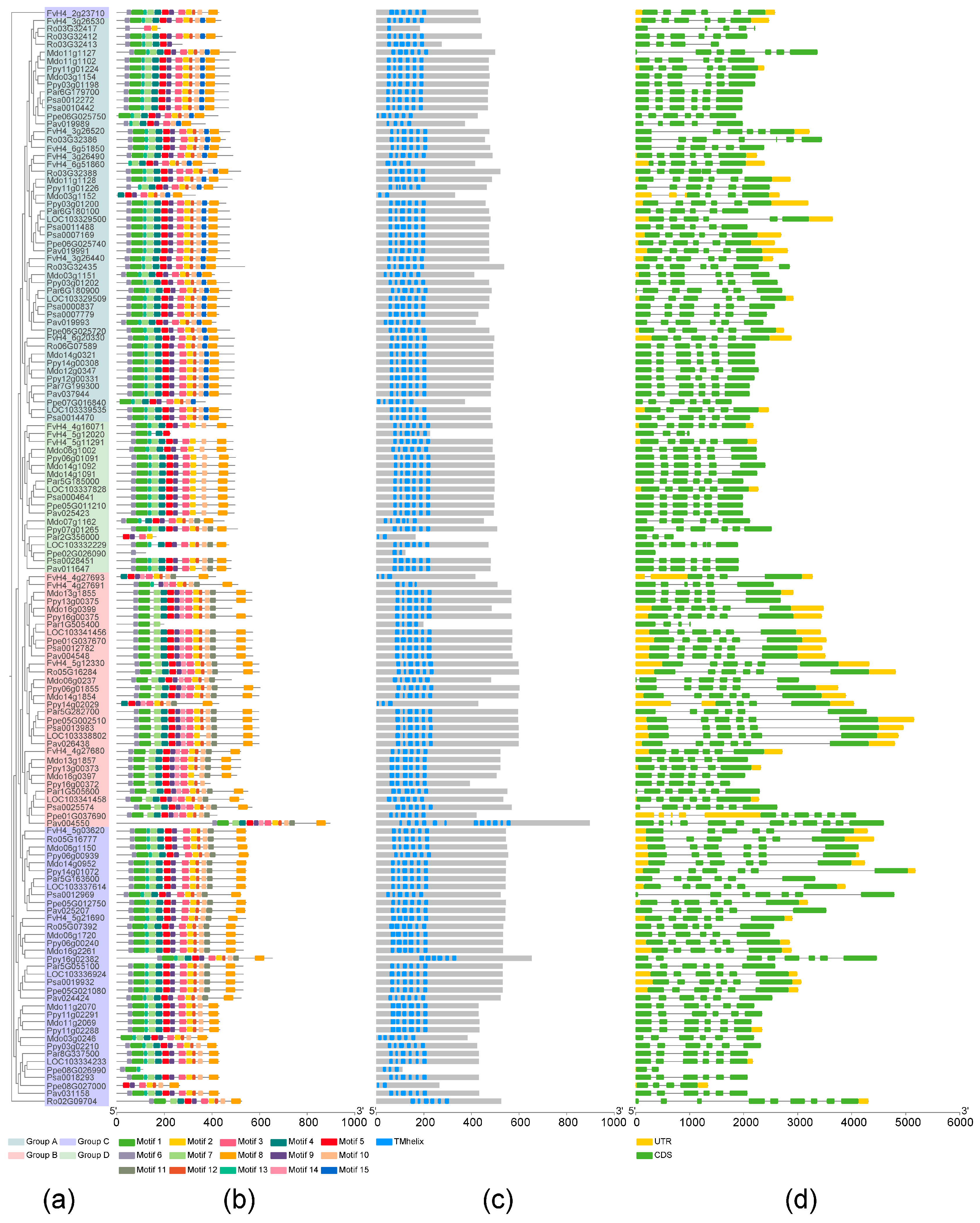 Horticulturae 10 01305 g002