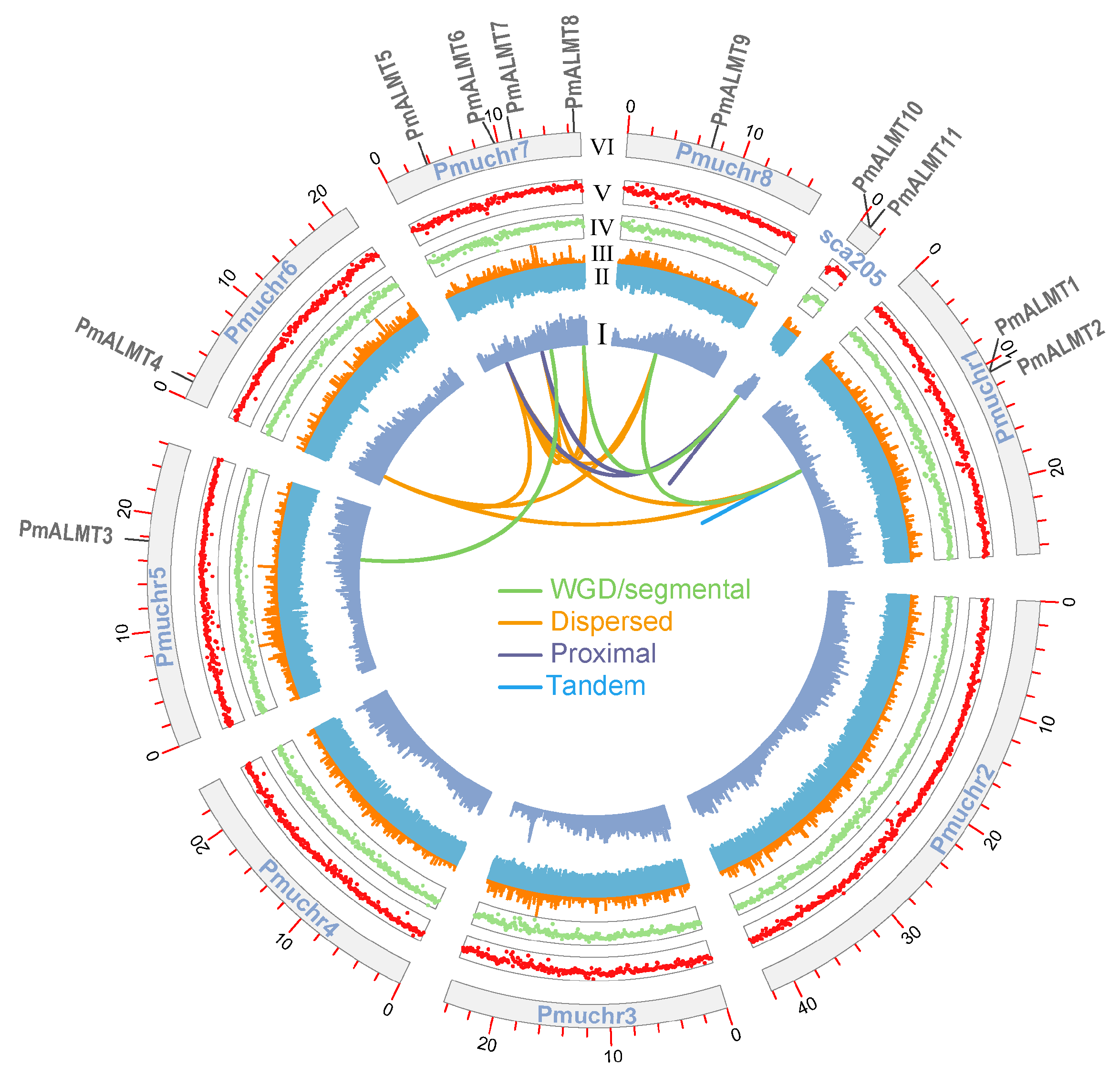 Horticulturae 10 01305 g005