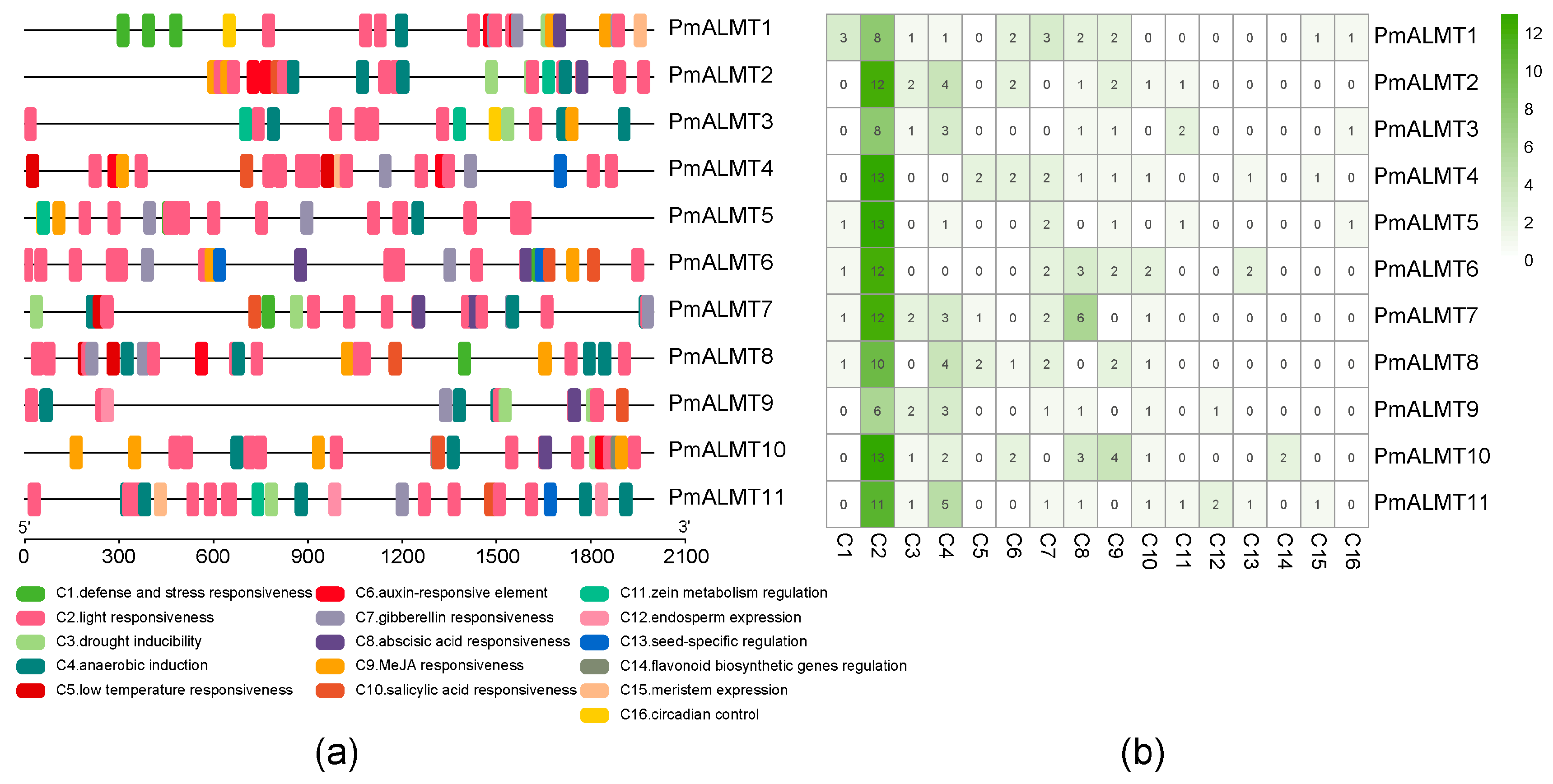Horticulturae 10 01305 g006