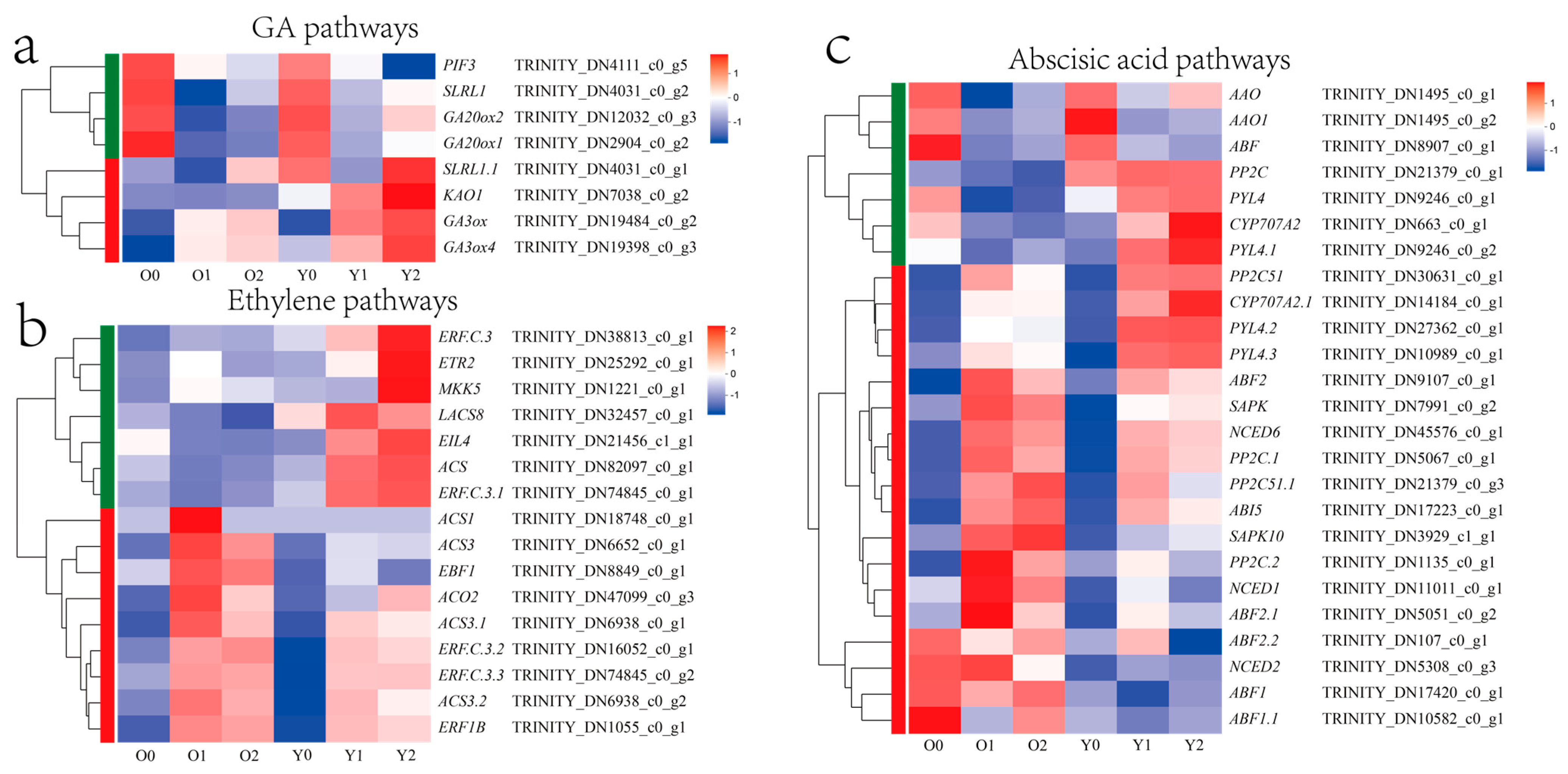 Horticulturae 10 01306 g007