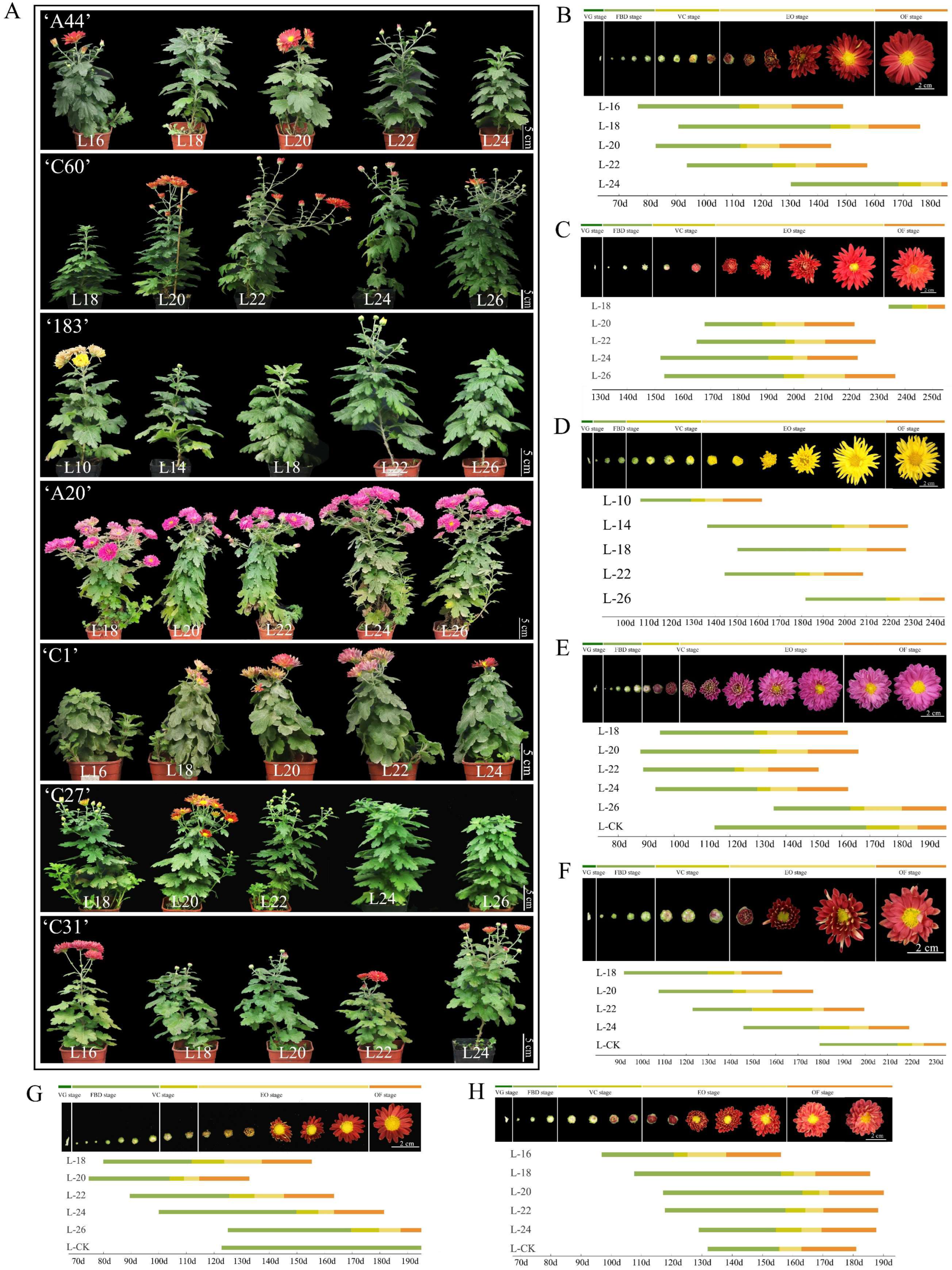 Horticulturae 11 00005 g002