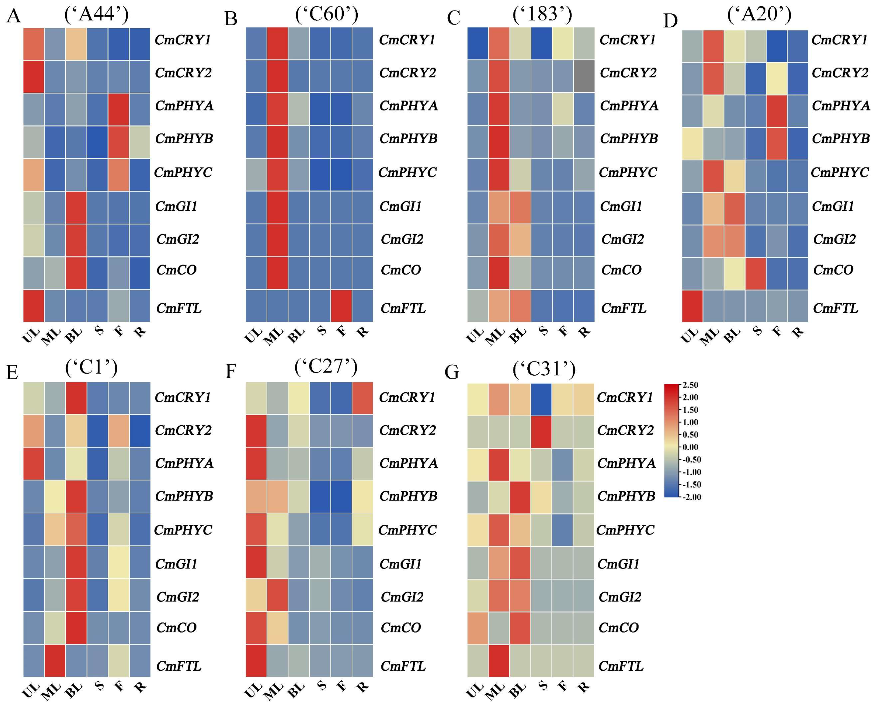 Horticulturae 11 00005 g003