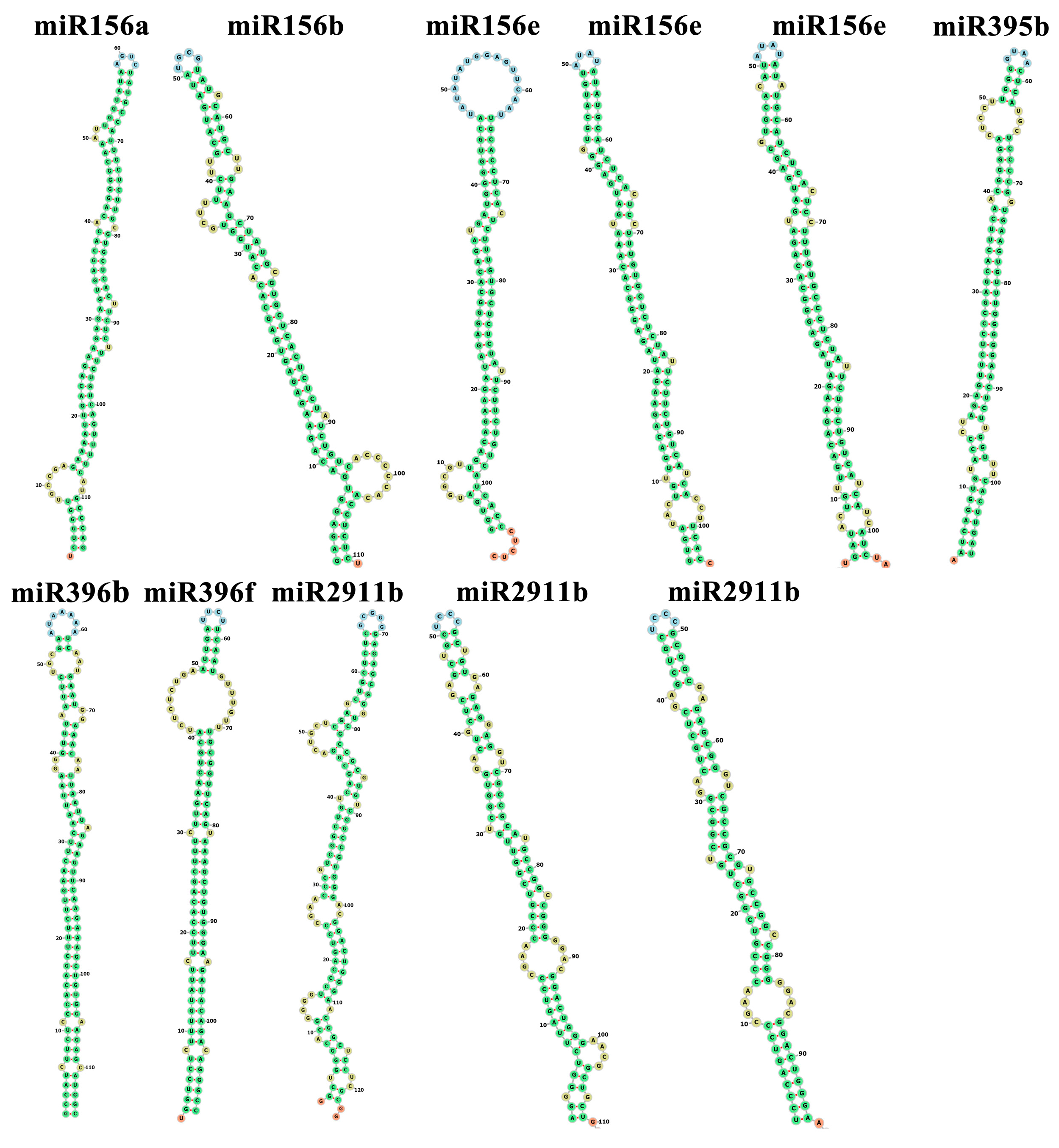 Horticulturae 11 00041 g002