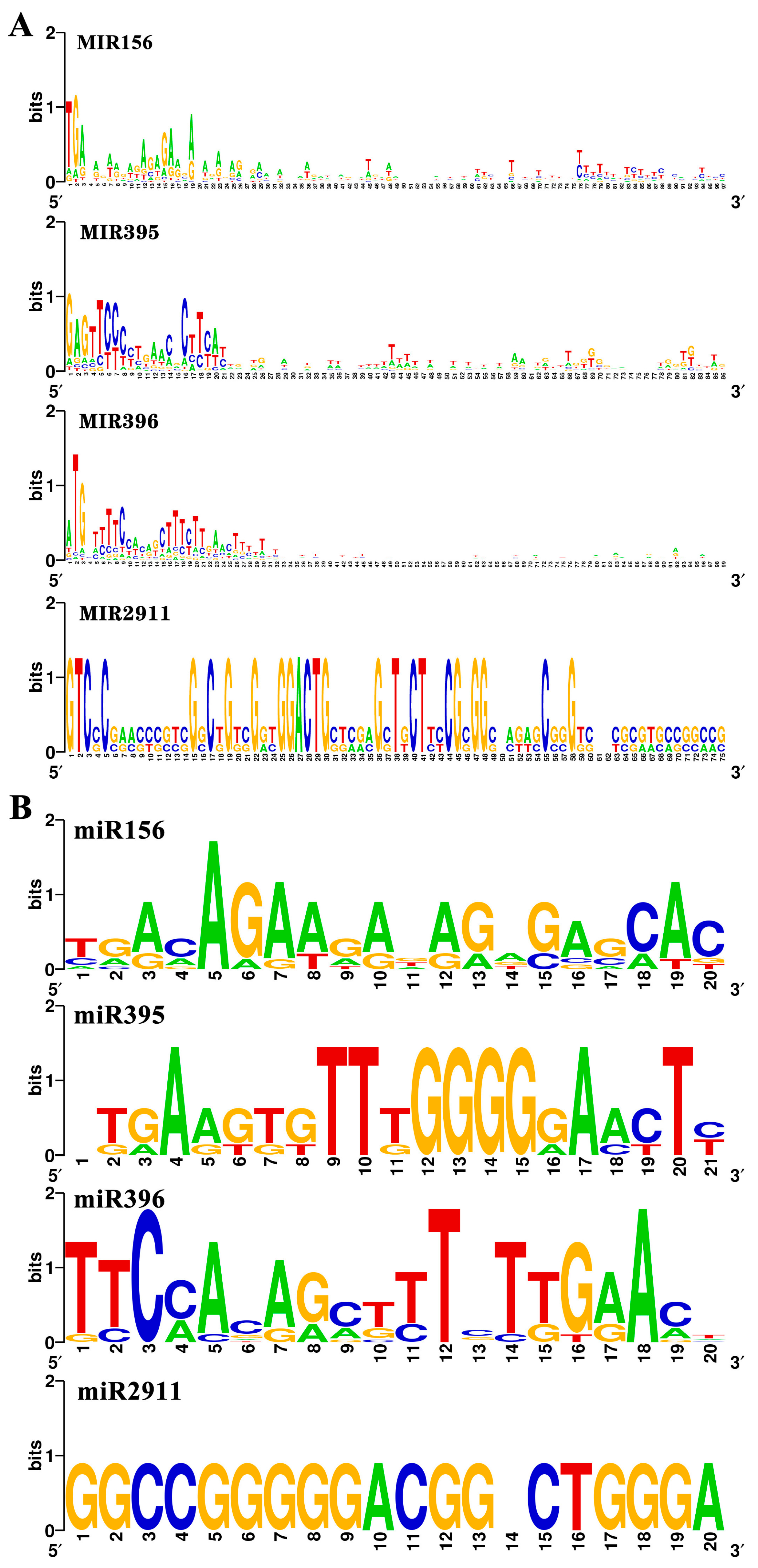 Horticulturae 11 00041 g003