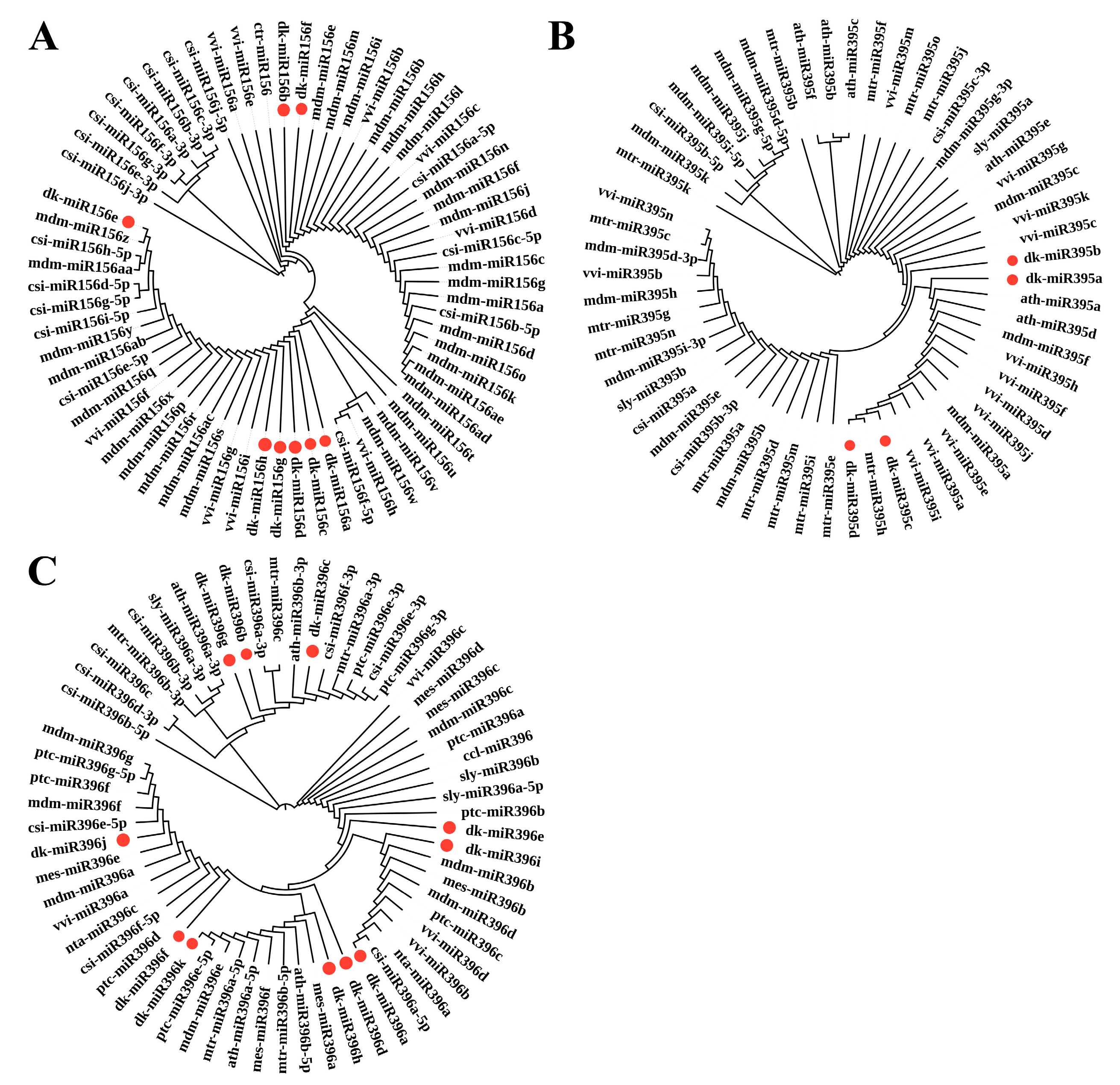 Horticulturae 11 00041 g004