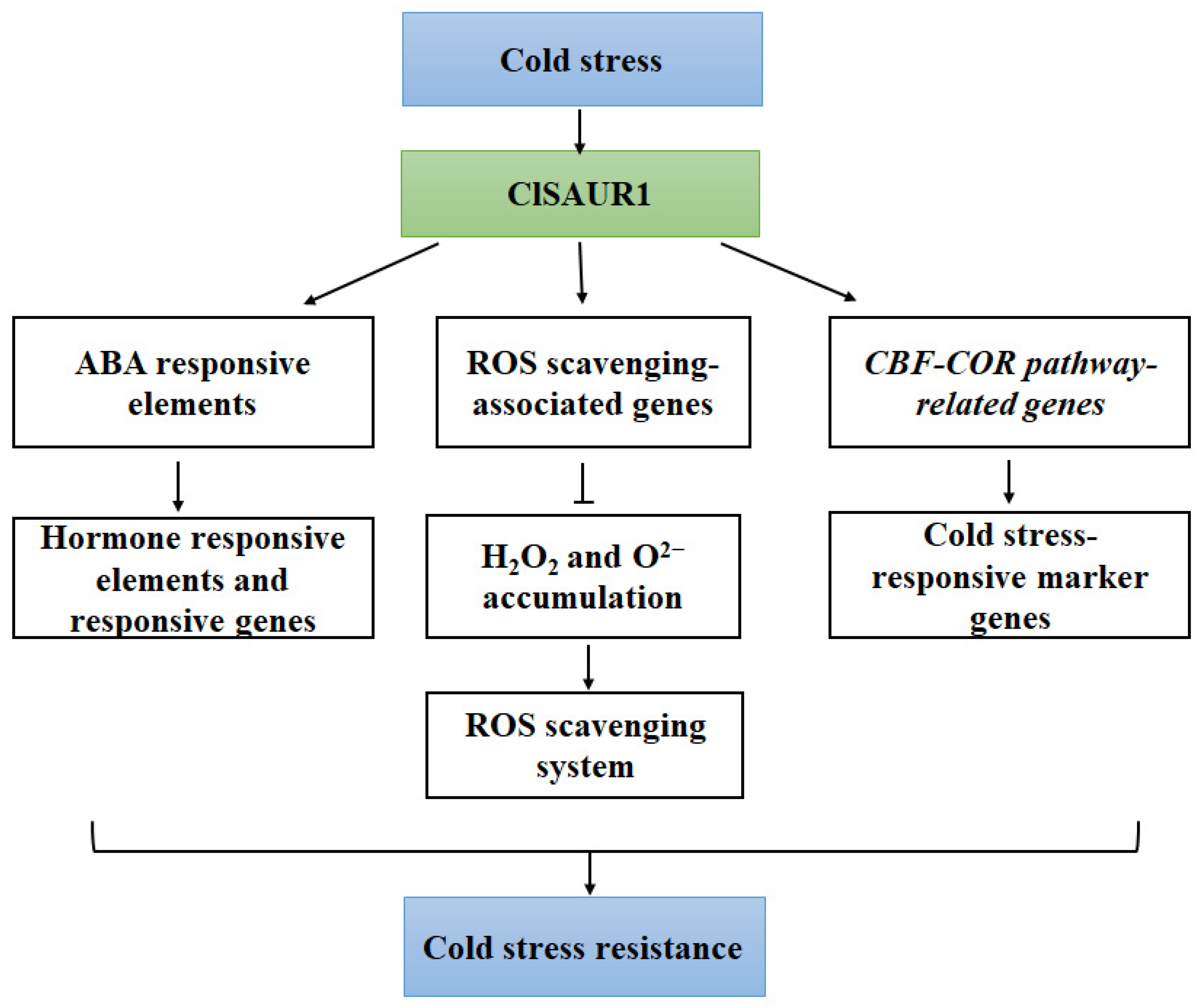Horticulturae 11 00052 g006