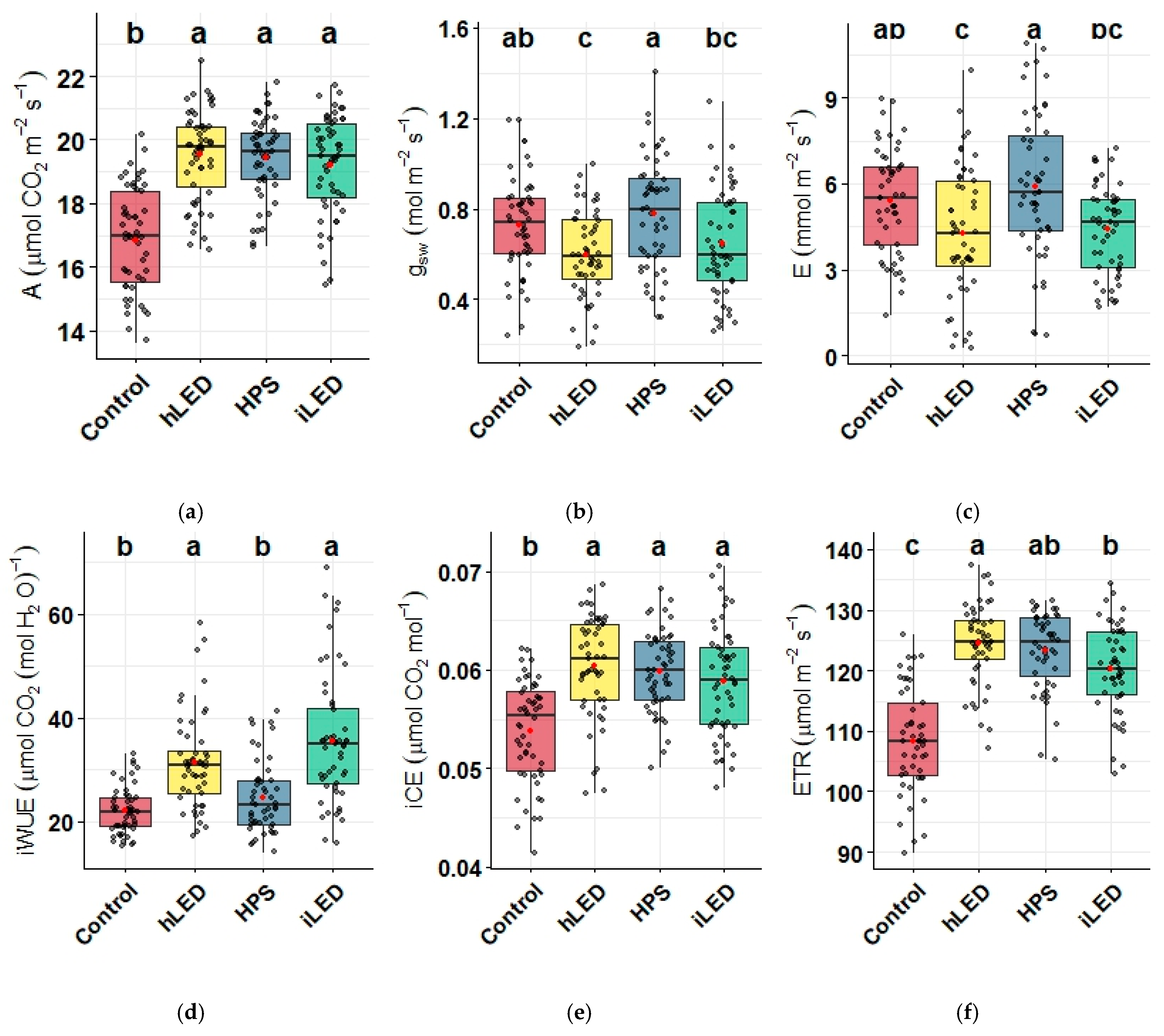 Horticulturae 11 00079 g004