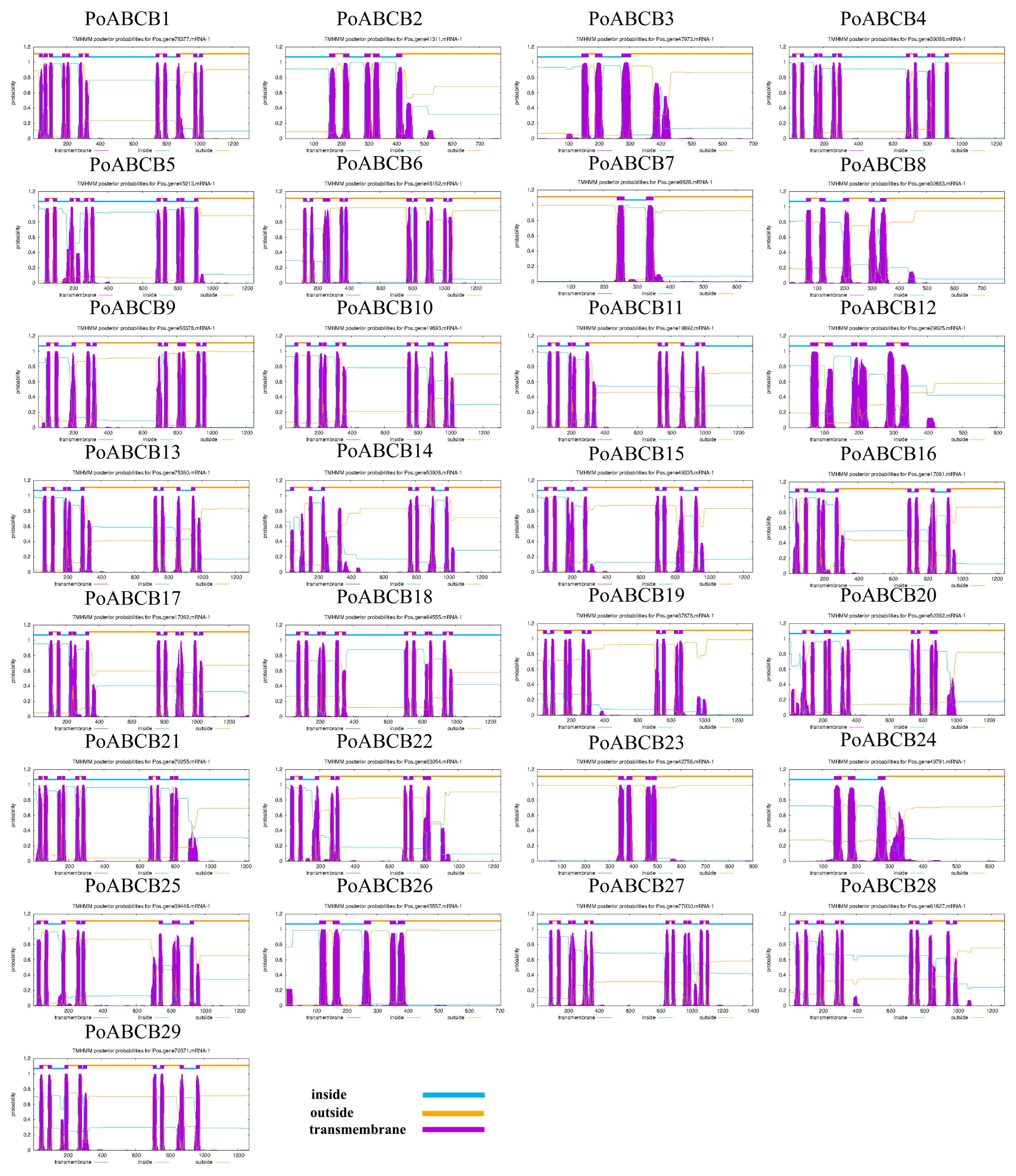 Horticulturae 11 00138 g001