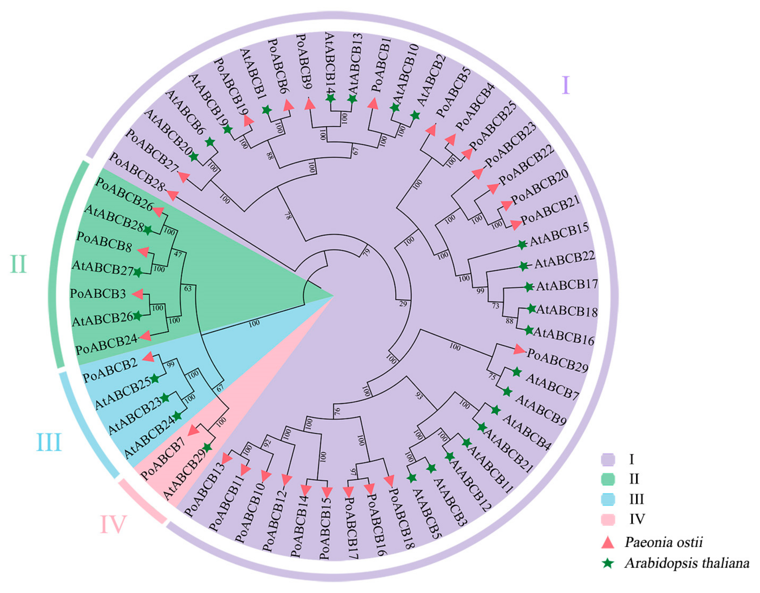 Horticulturae 11 00138 g002