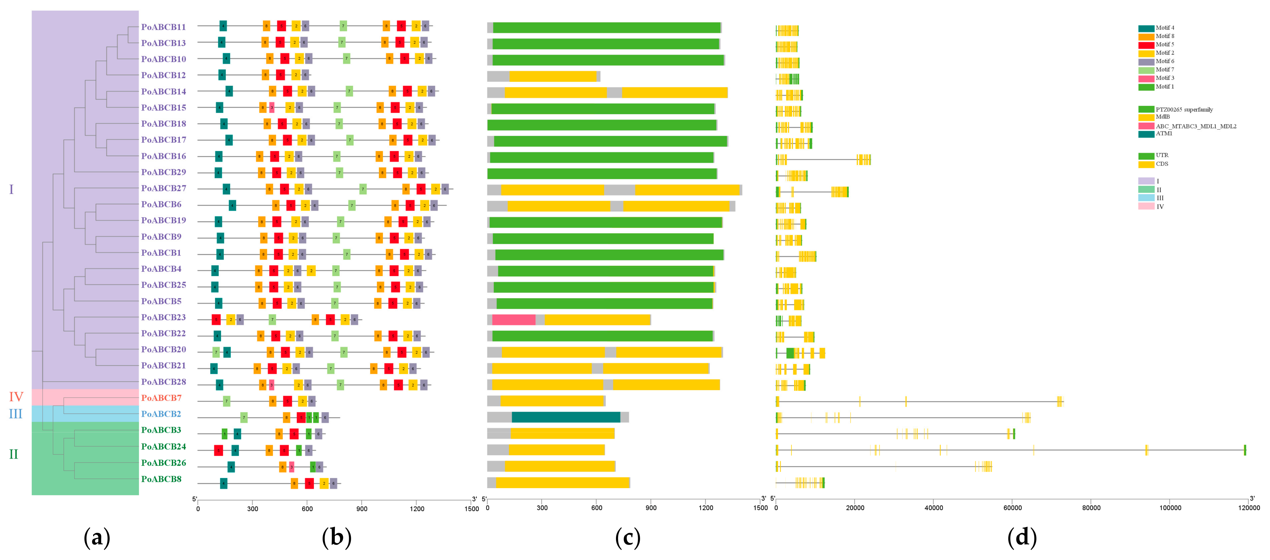 Horticulturae 11 00138 g003