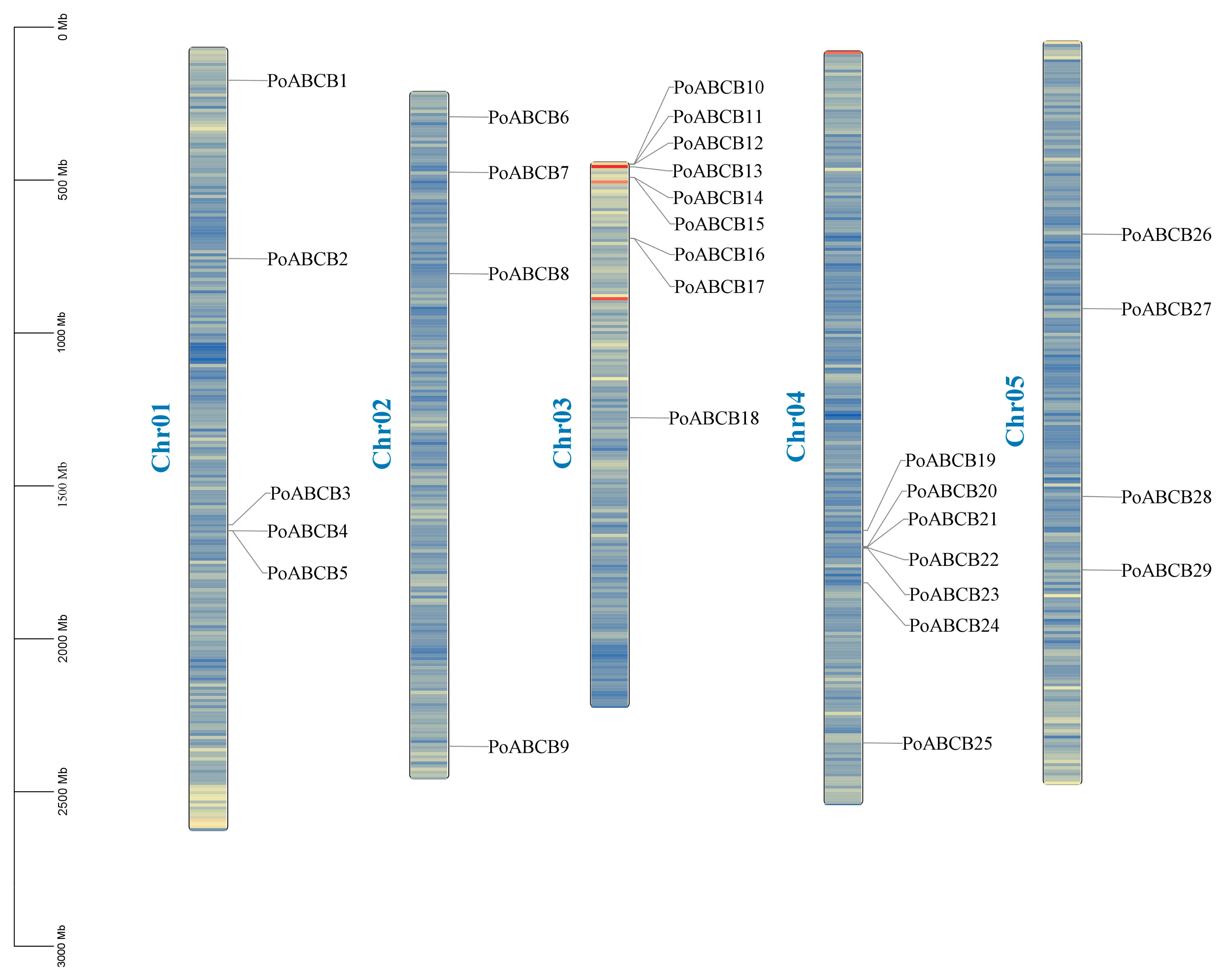 Horticulturae 11 00138 g006