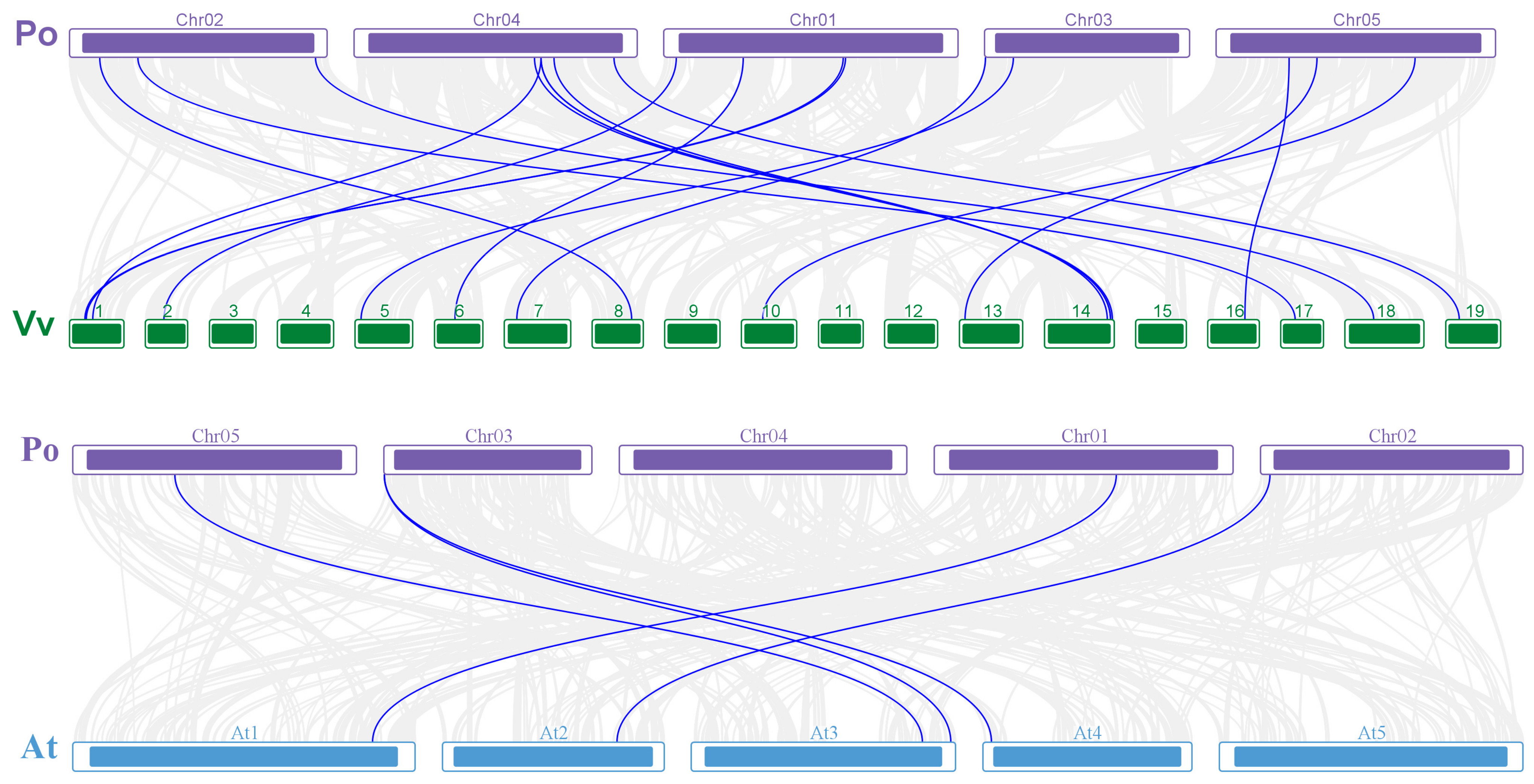 Horticulturae 11 00138 g007