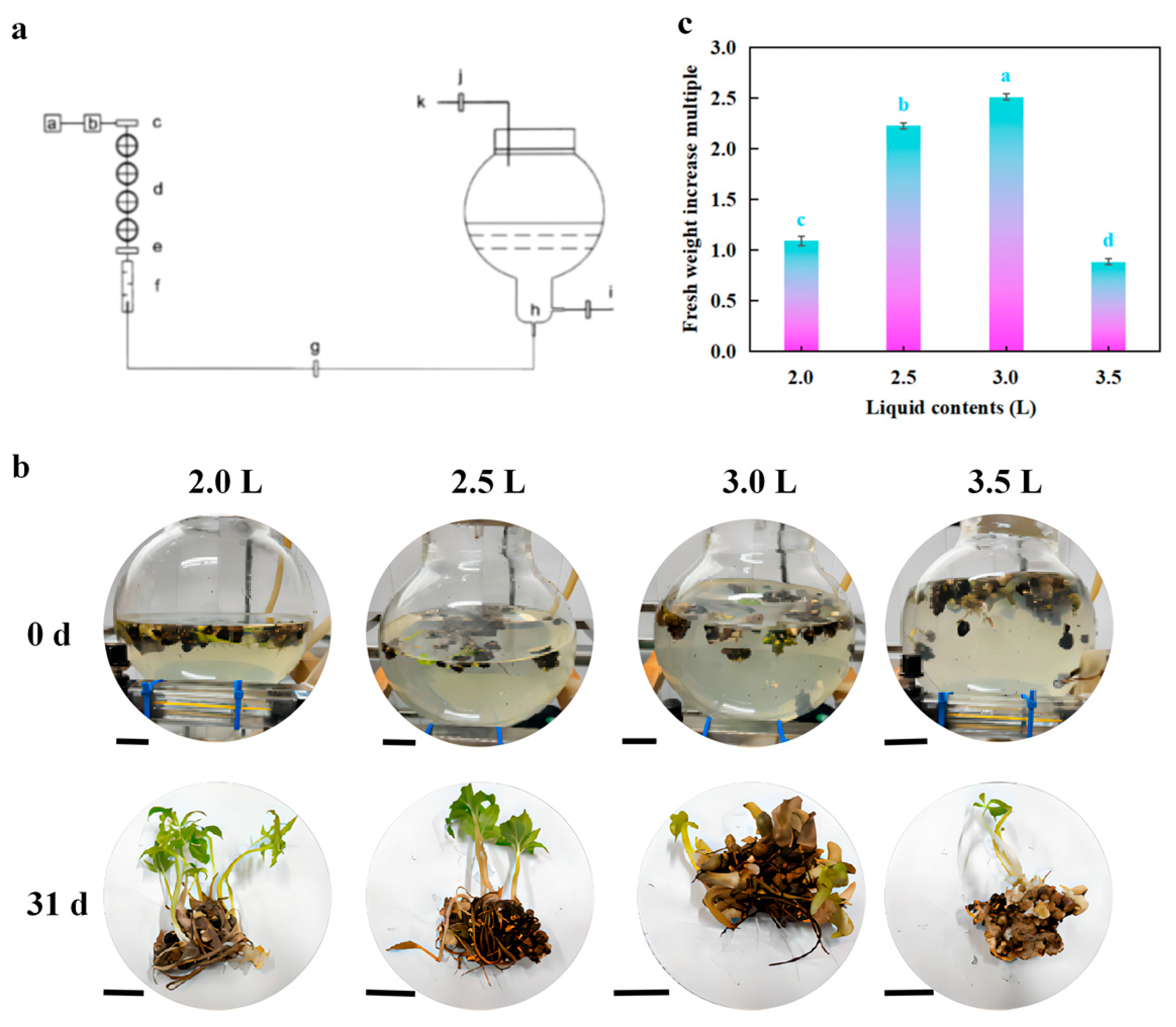 Horticulturae 11 00235 g008
