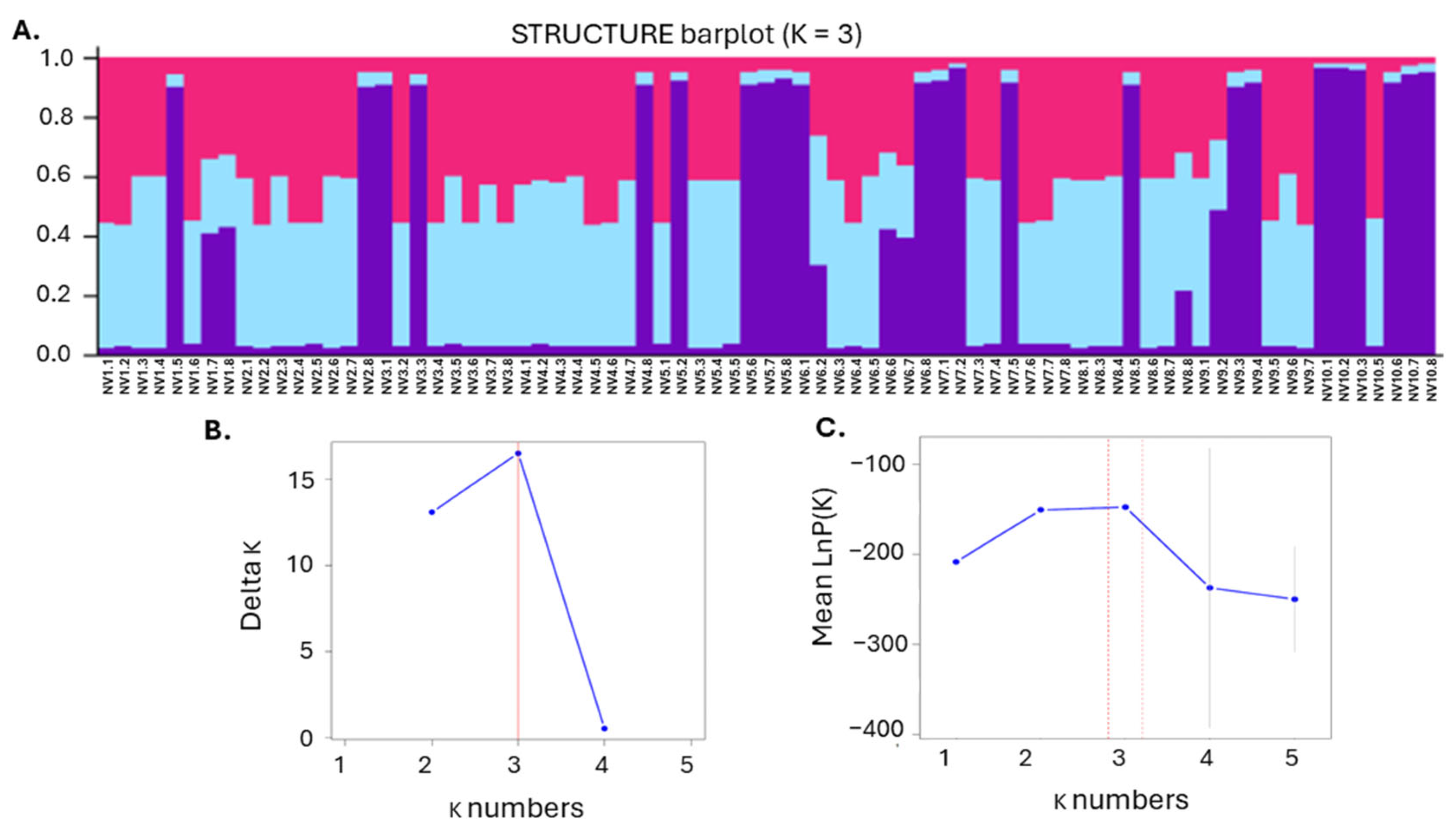 Horticulturae 11 00304 g007