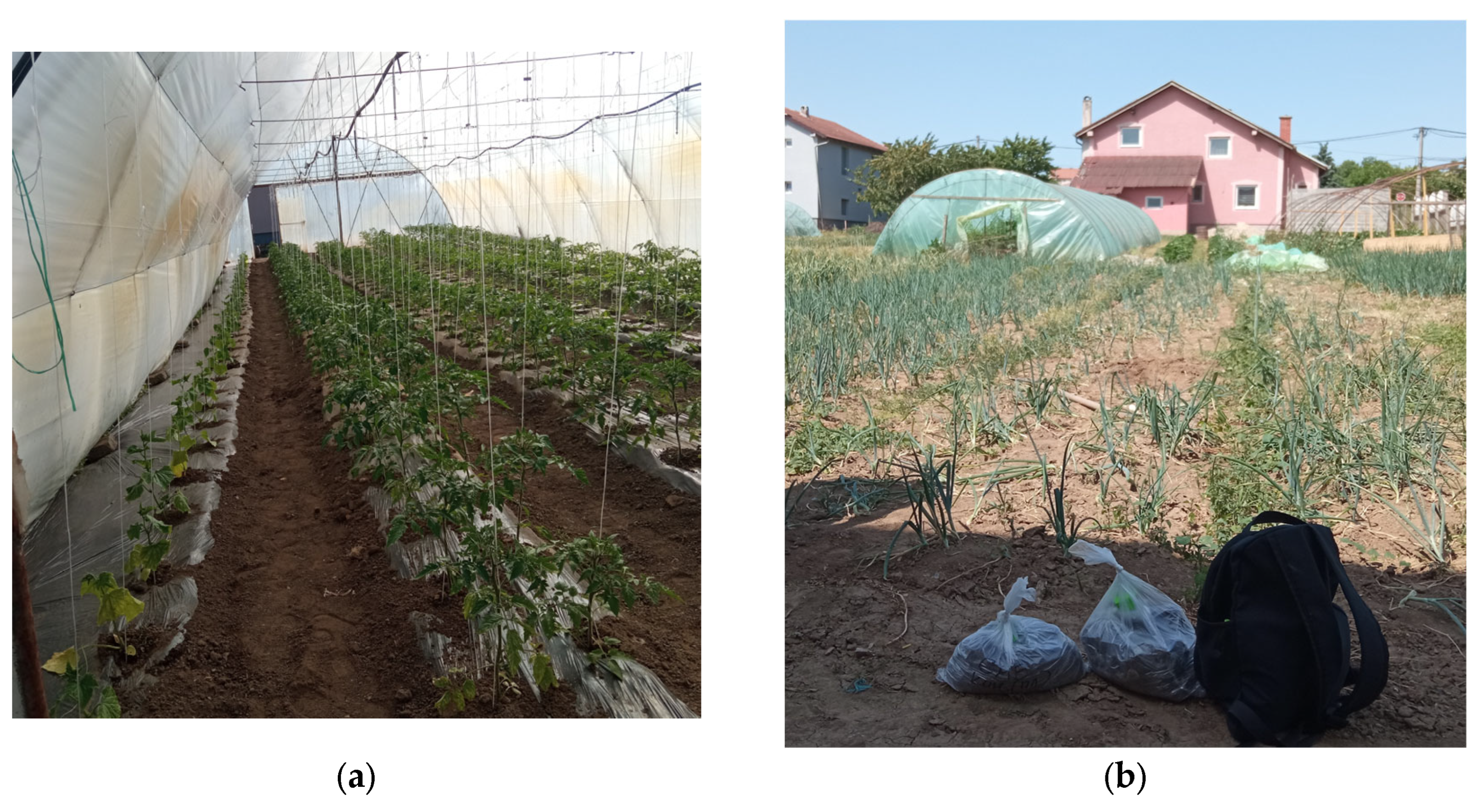 Horticulturae 11 00305 g003