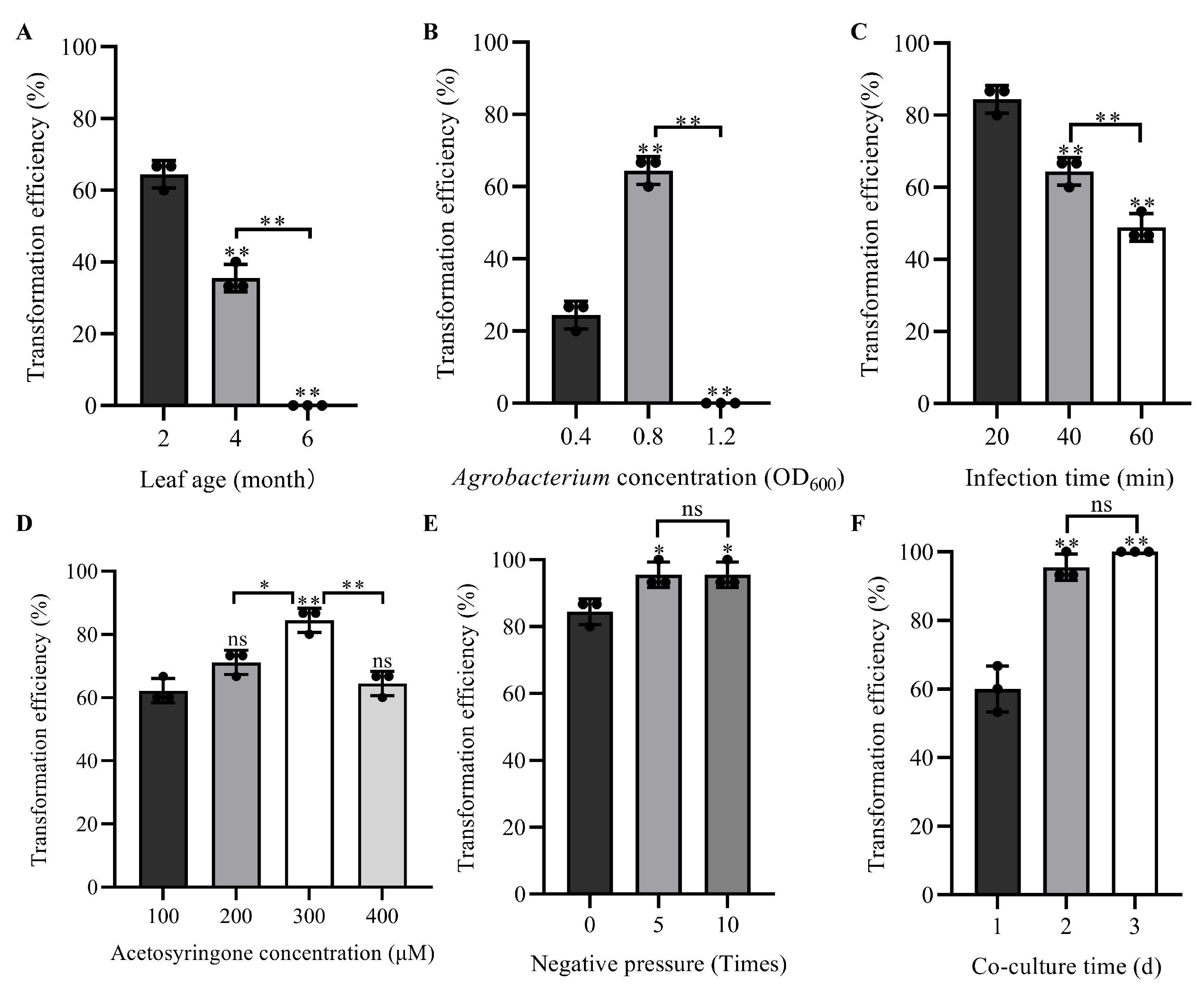 Horticulturae 11 00320 g003