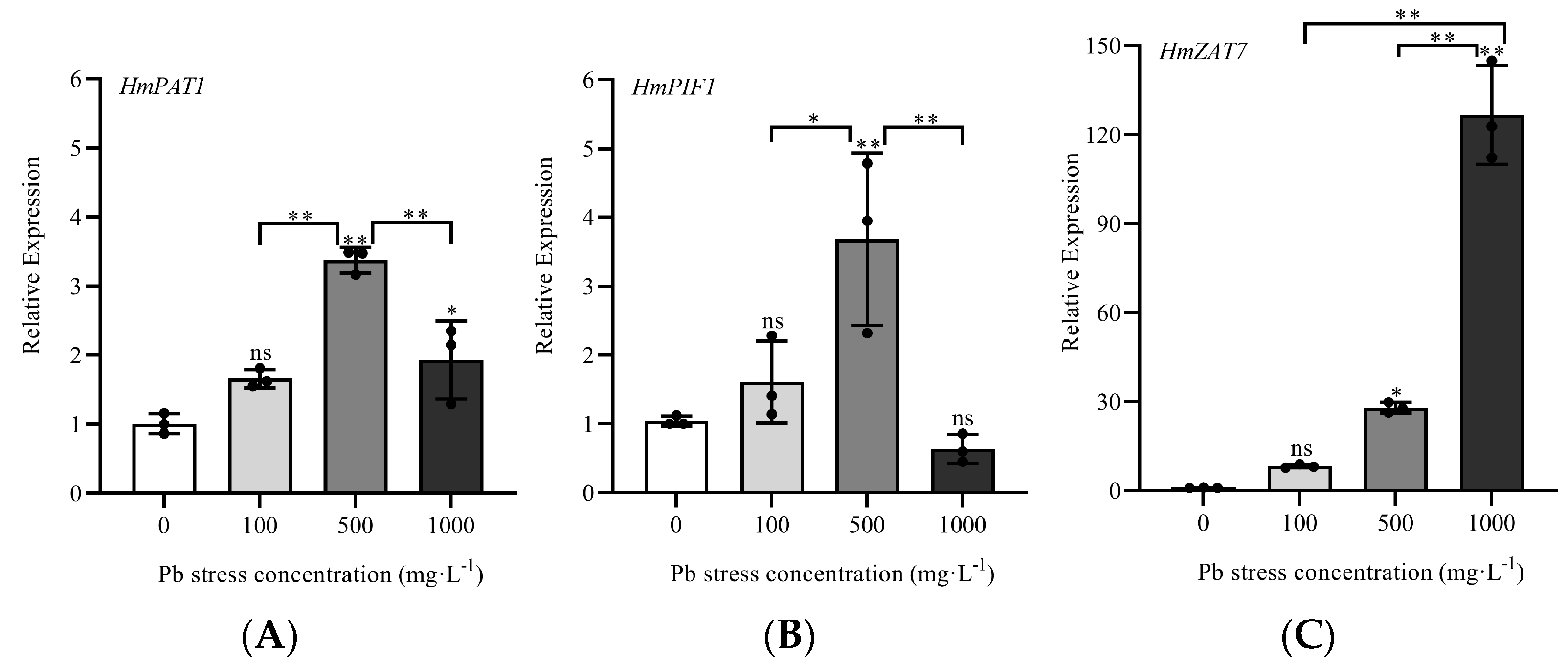 Horticulturae 11 00320 g005