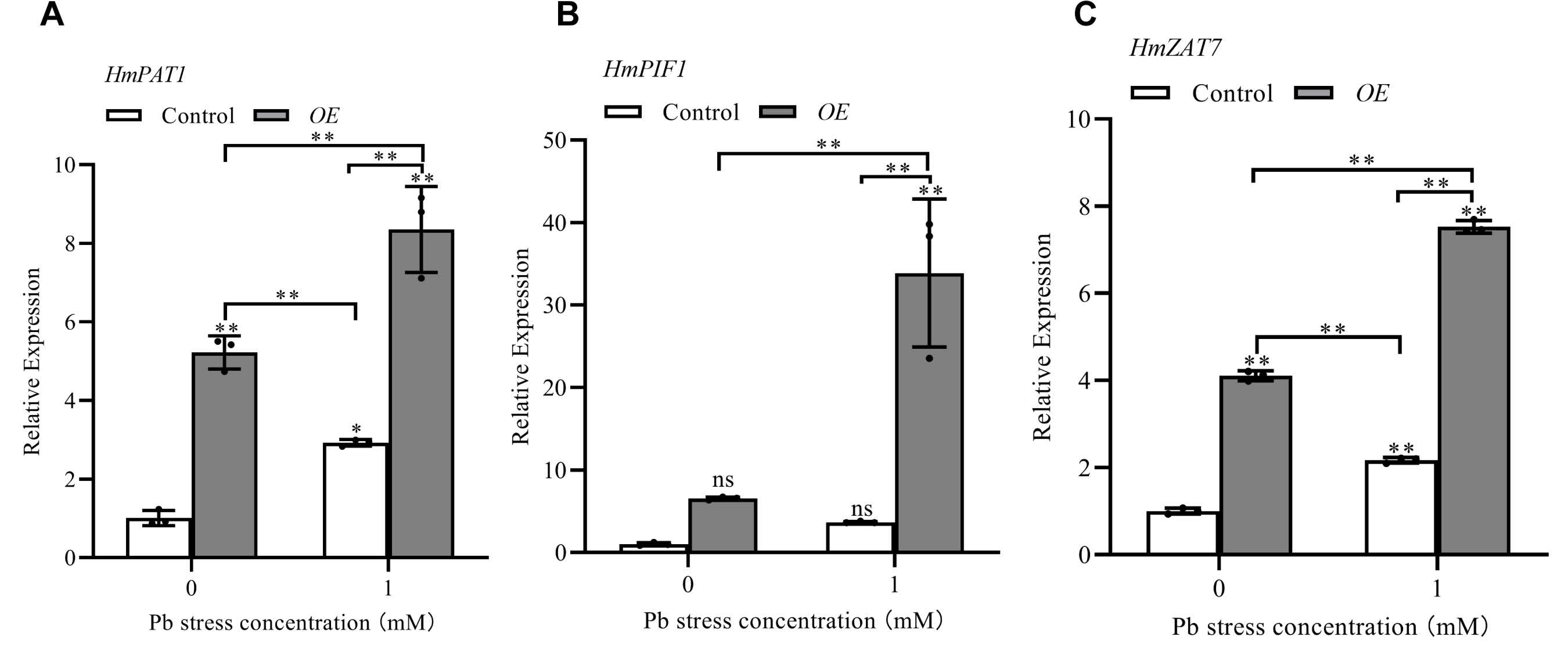 Horticulturae 11 00320 g007