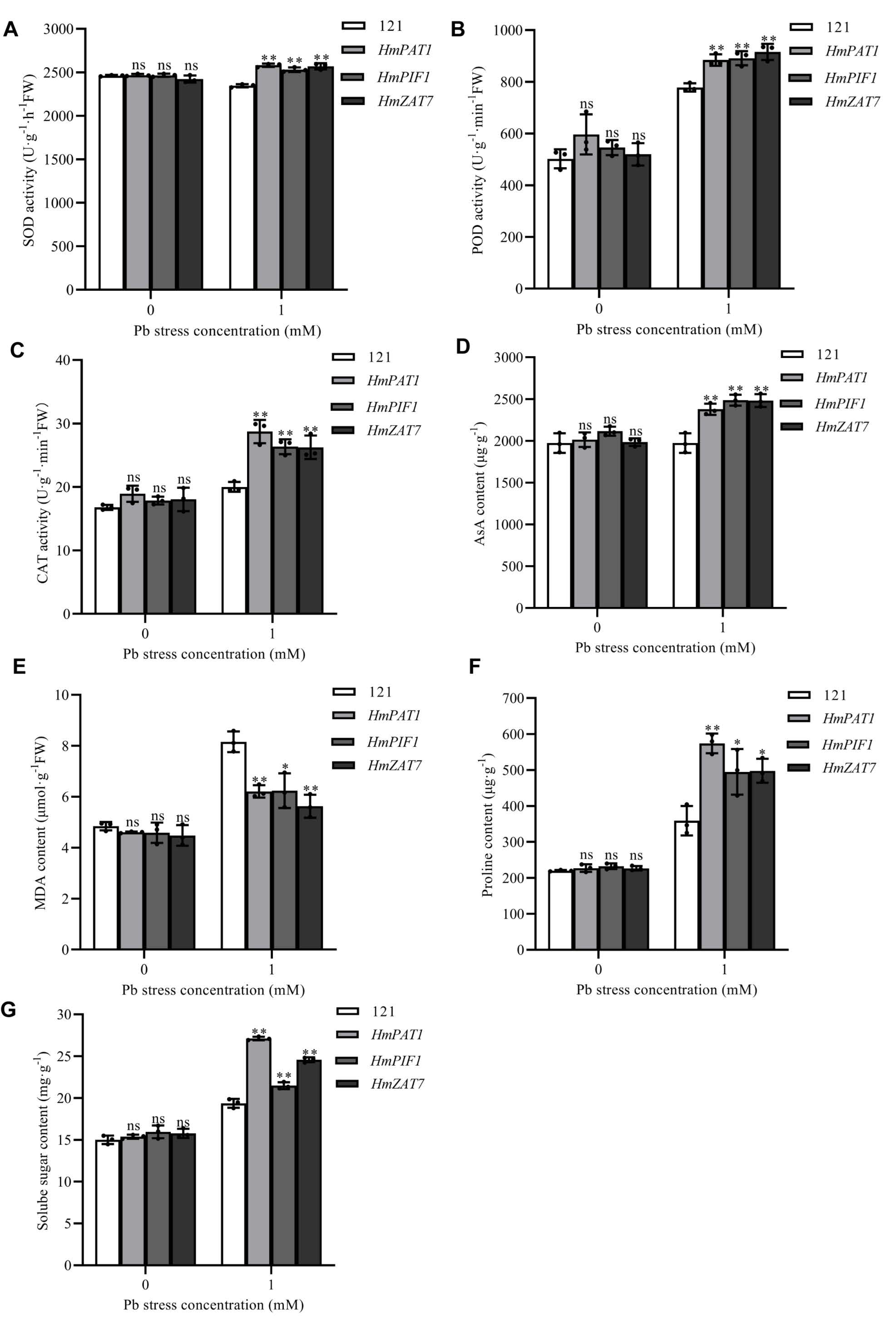 Horticulturae 11 00320 g008