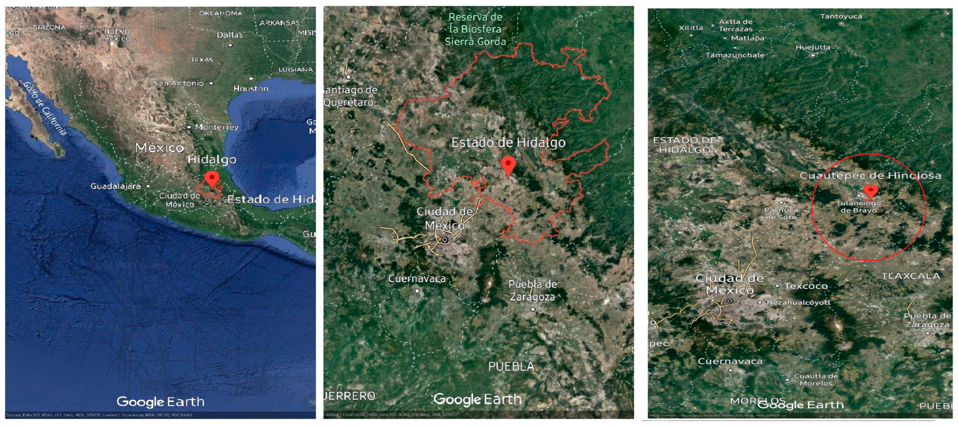 Horticulturae 11 00332 g001