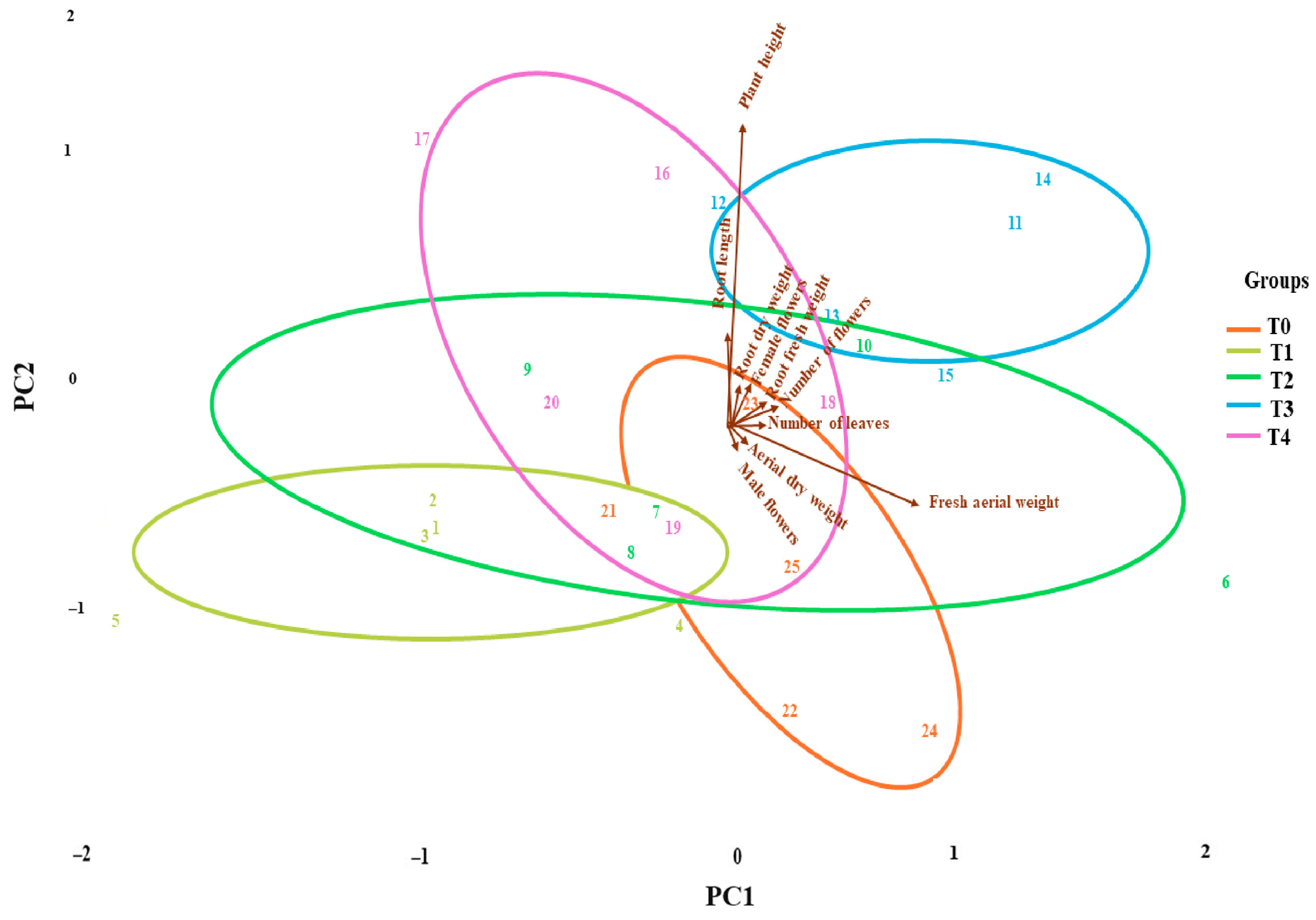 Horticulturae 11 00332 g006