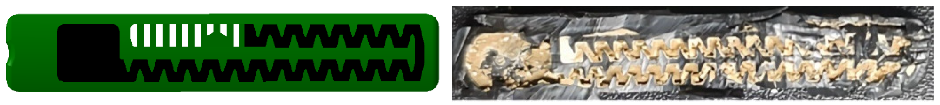 Horticulturae 11 00333 g001