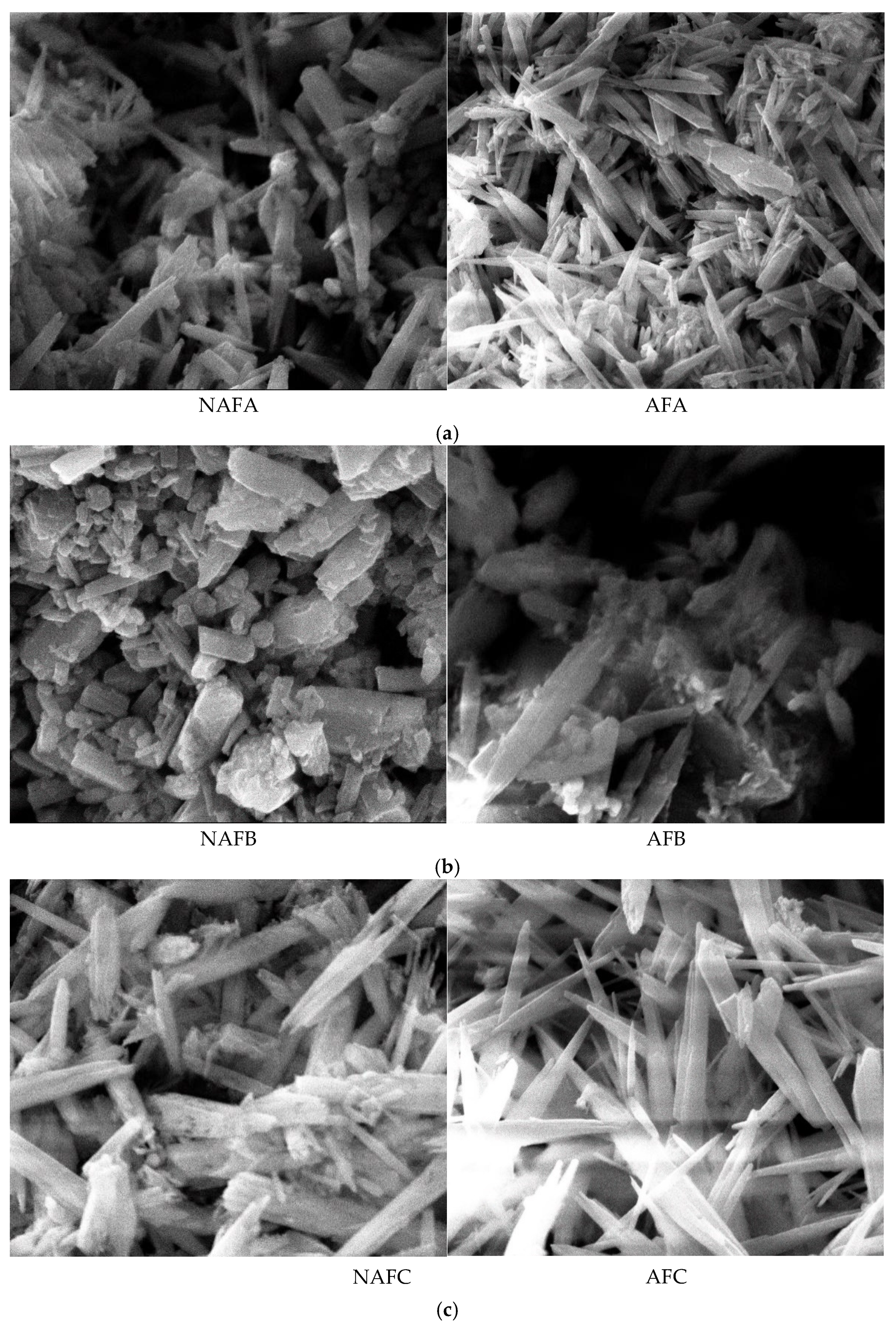 Horticulturae 11 00333 g007a