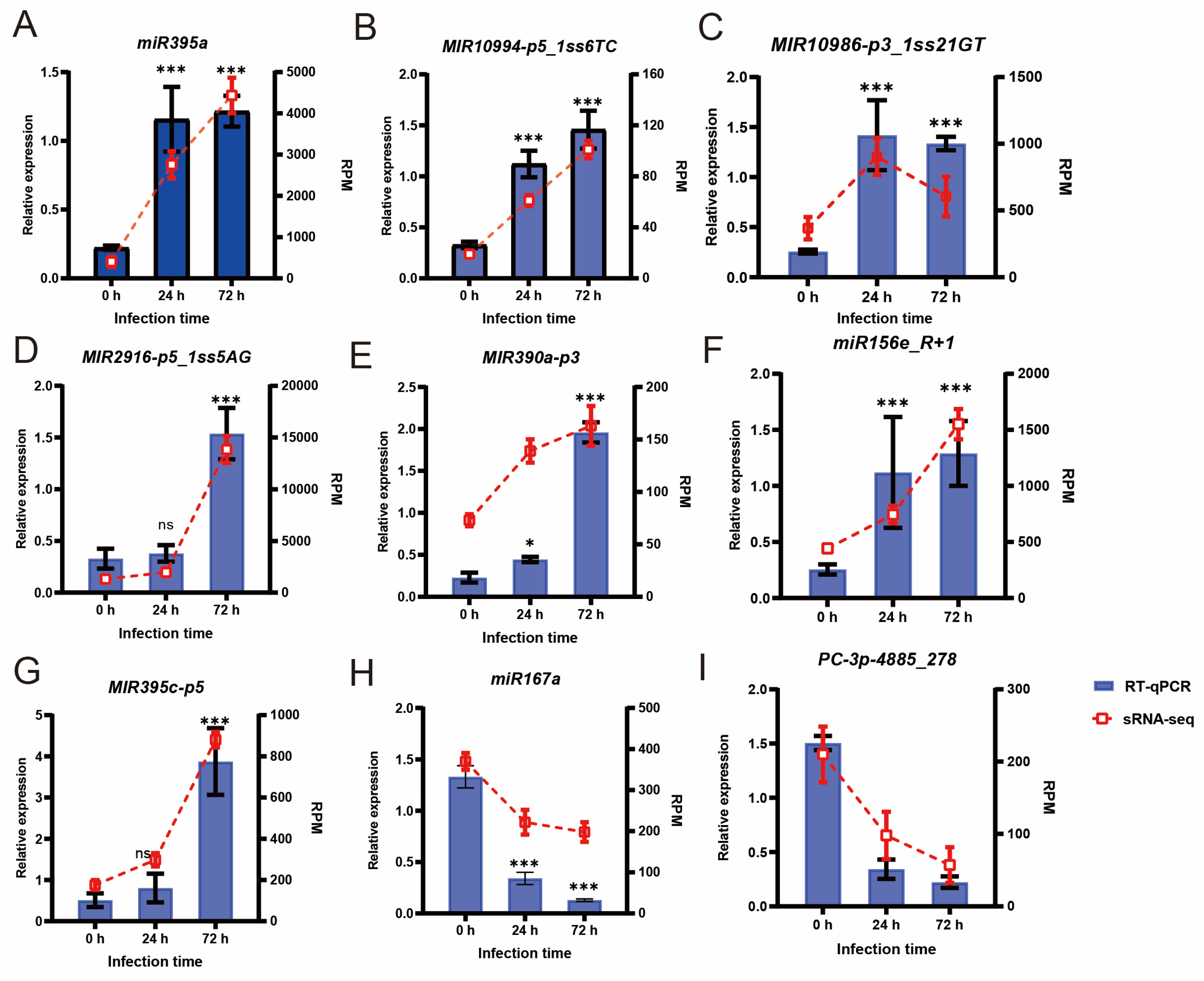 Horticulturae 11 00351 g001