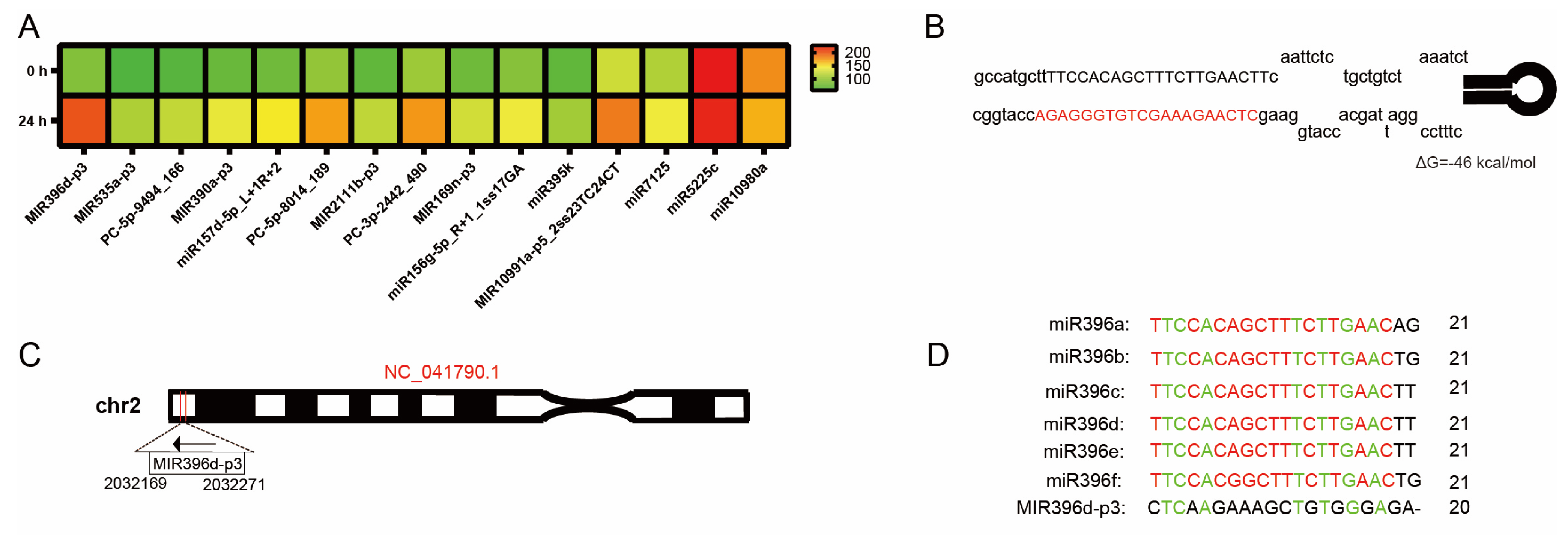 Horticulturae 11 00351 g002