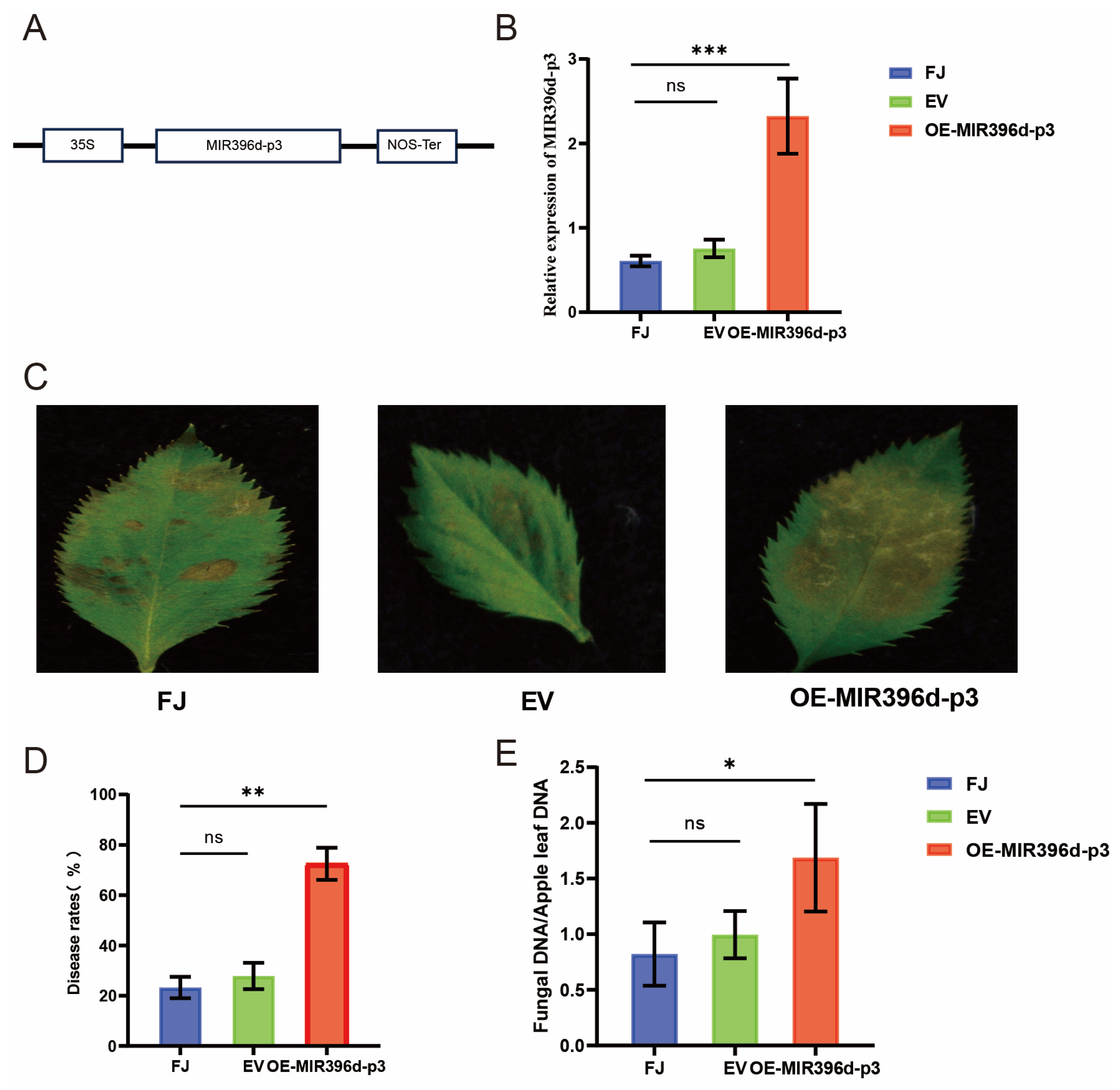 Horticulturae 11 00351 g005