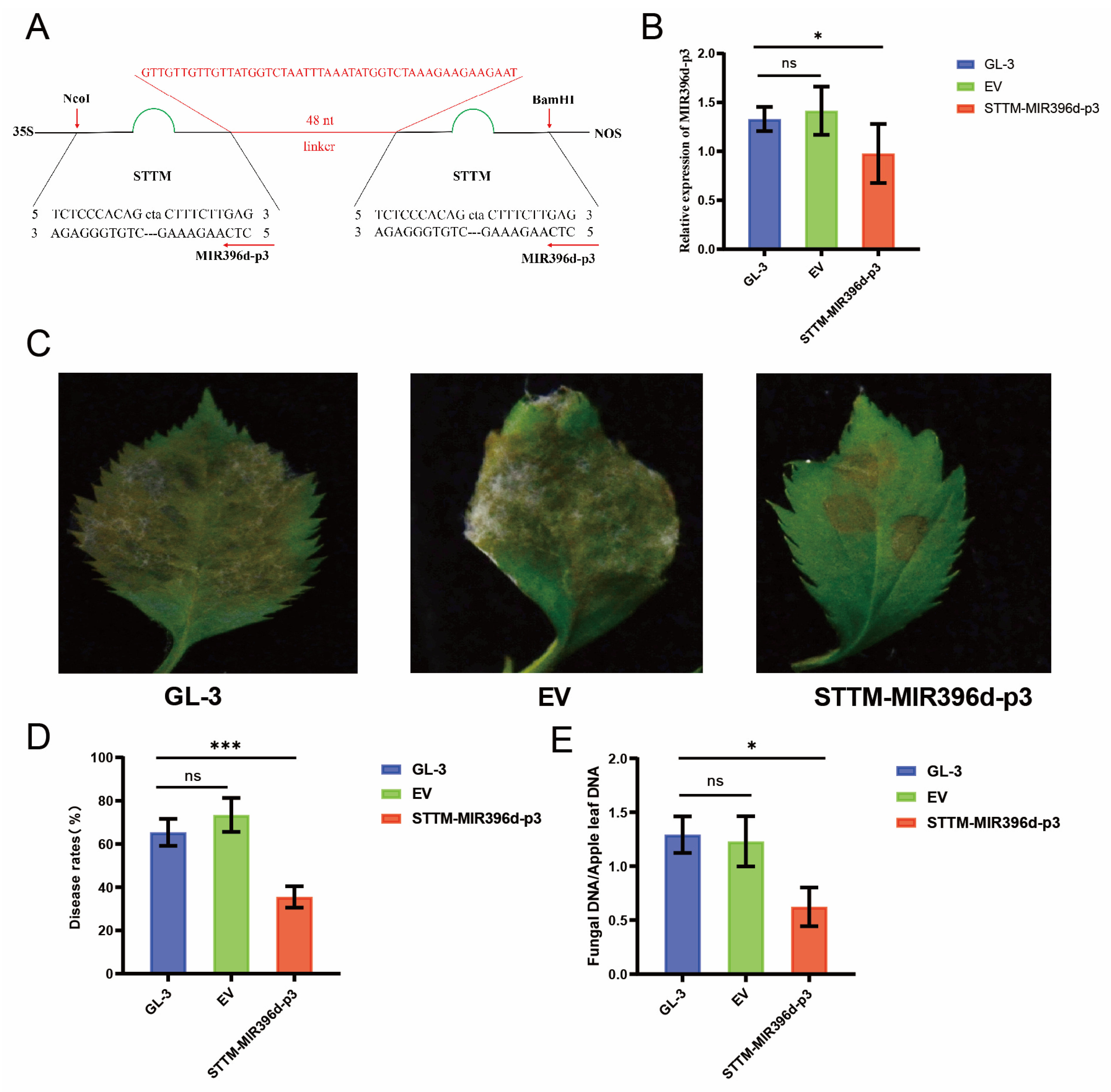 Horticulturae 11 00351 g006