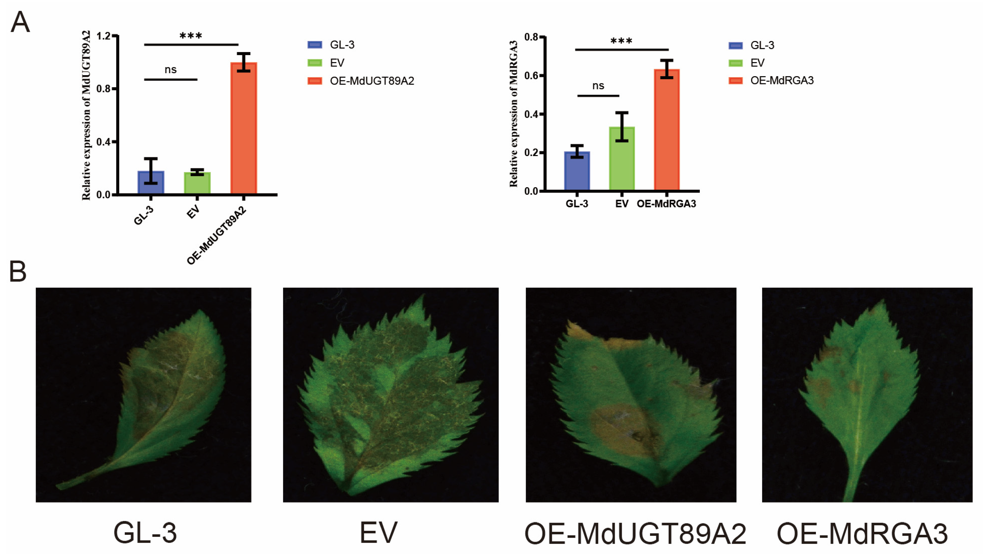 Horticulturae 11 00351 g007a