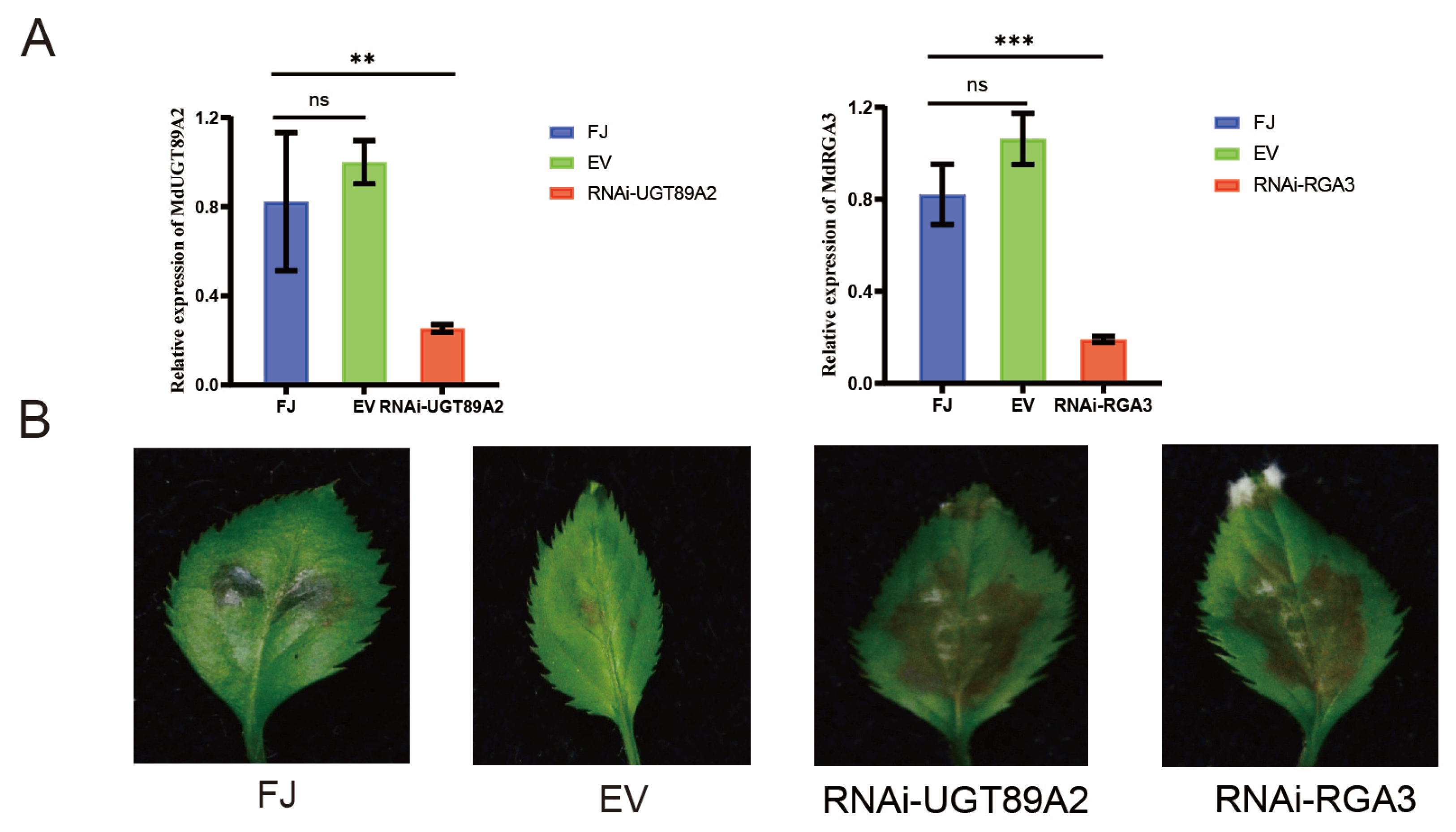 Horticulturae 11 00351 g008a