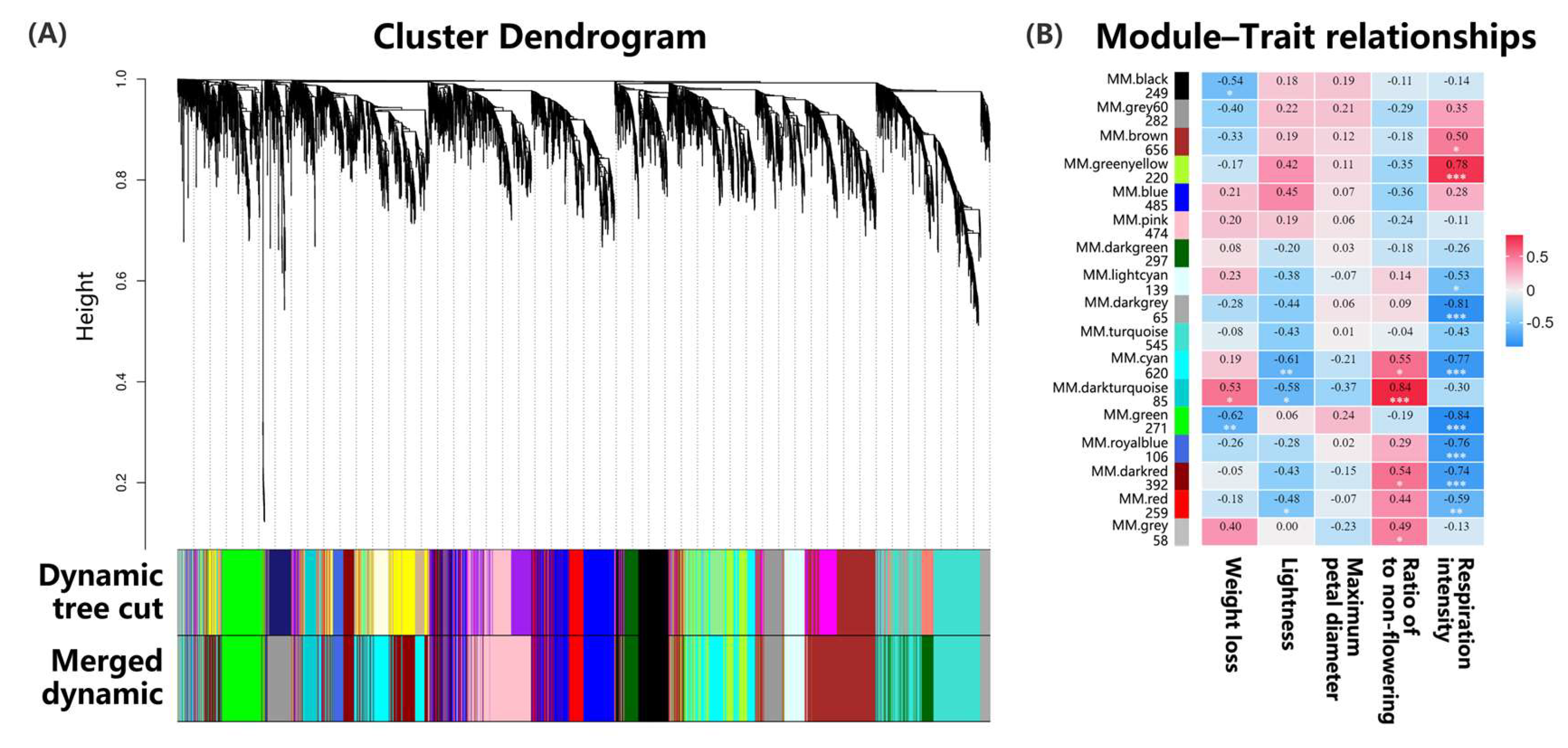Horticulturae 11 00386 g005