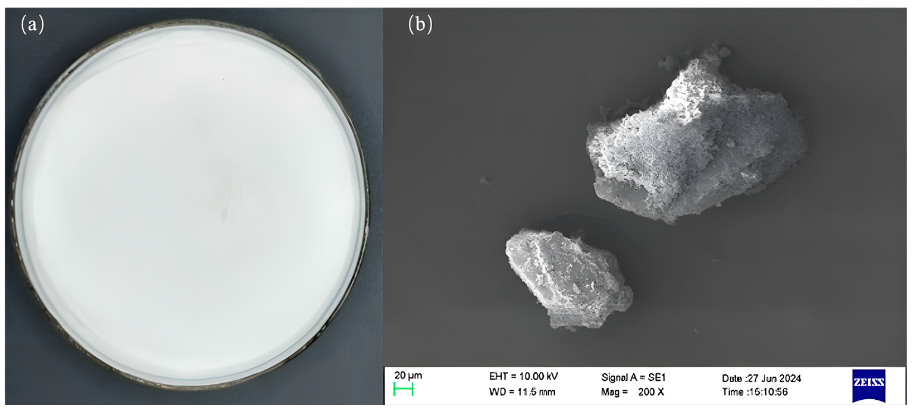 Horticulturae 11 00389 g002