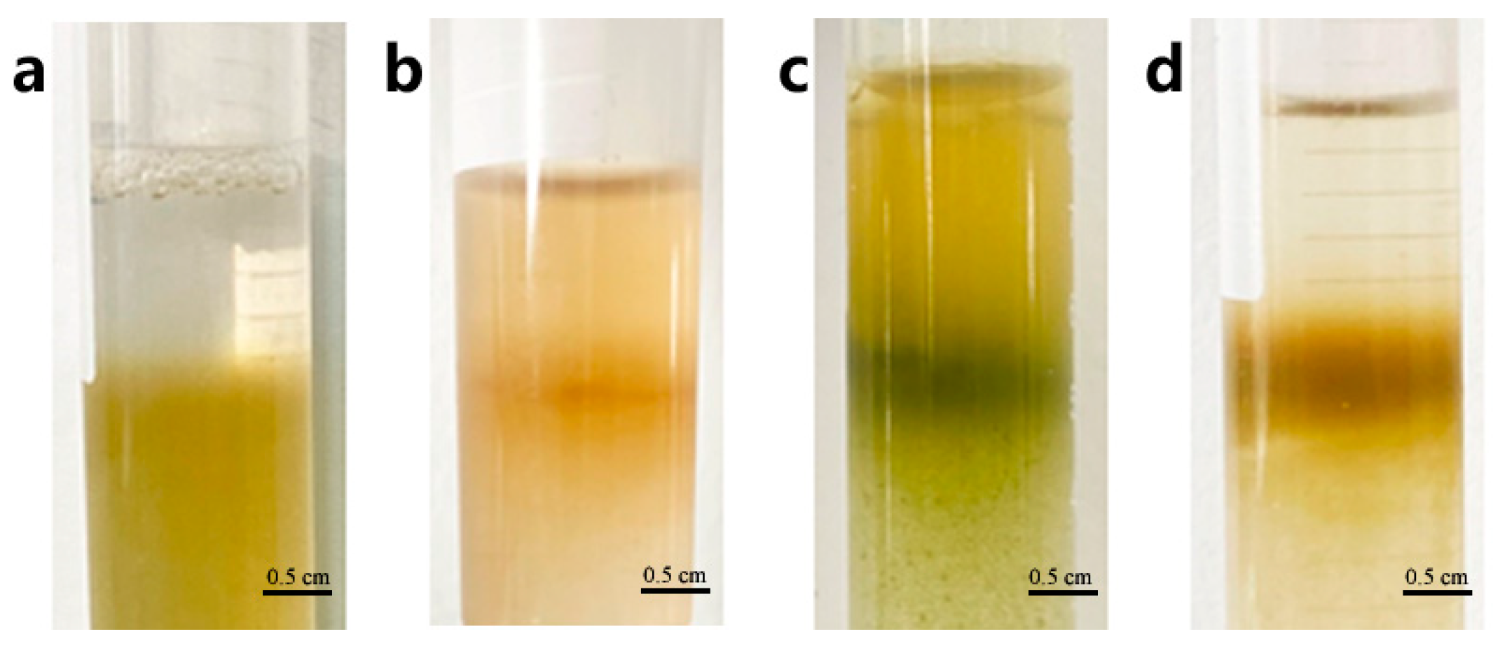 Horticulturae 11 00391 g004
