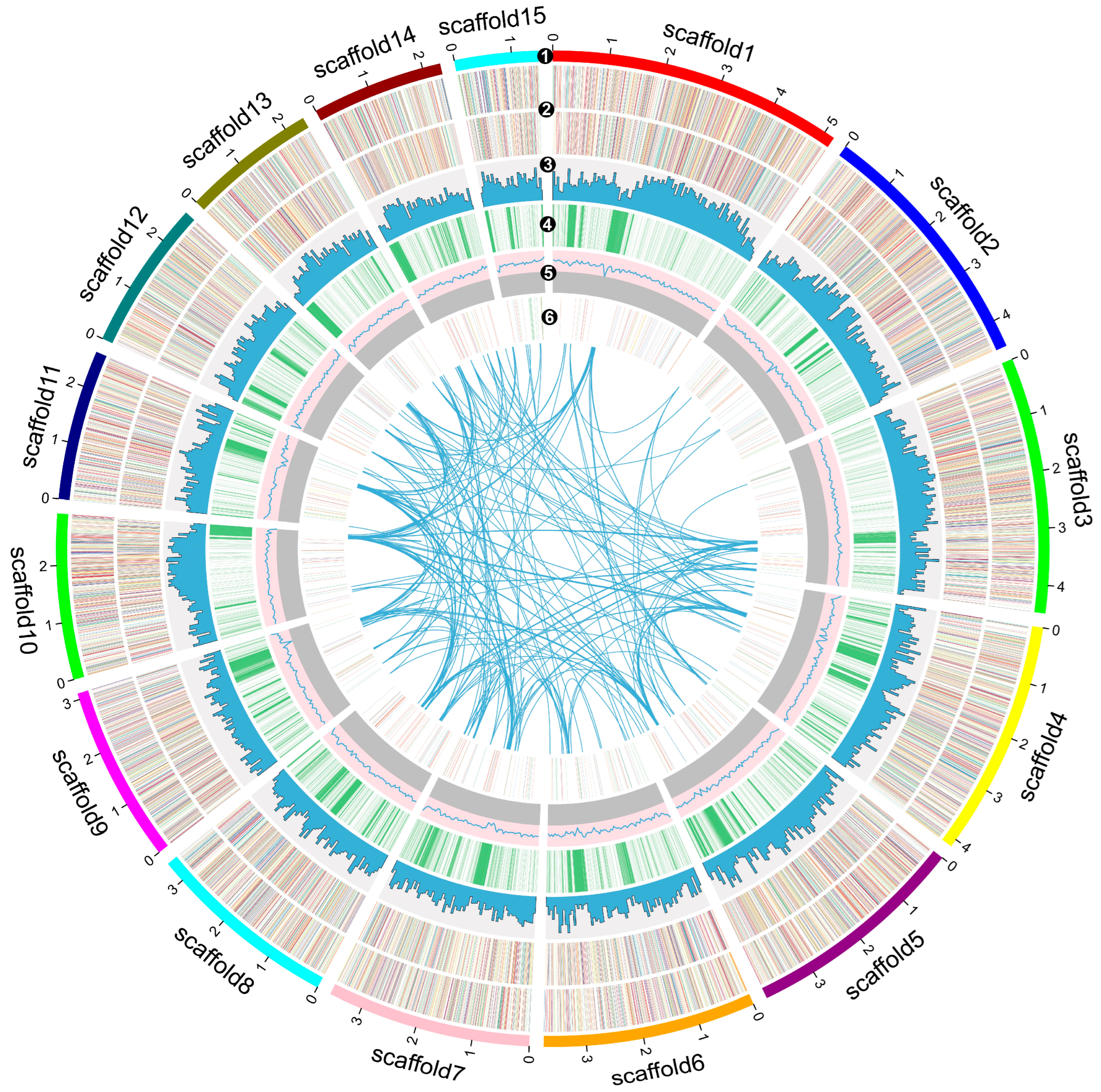 Horticulturae 11 00409 g002