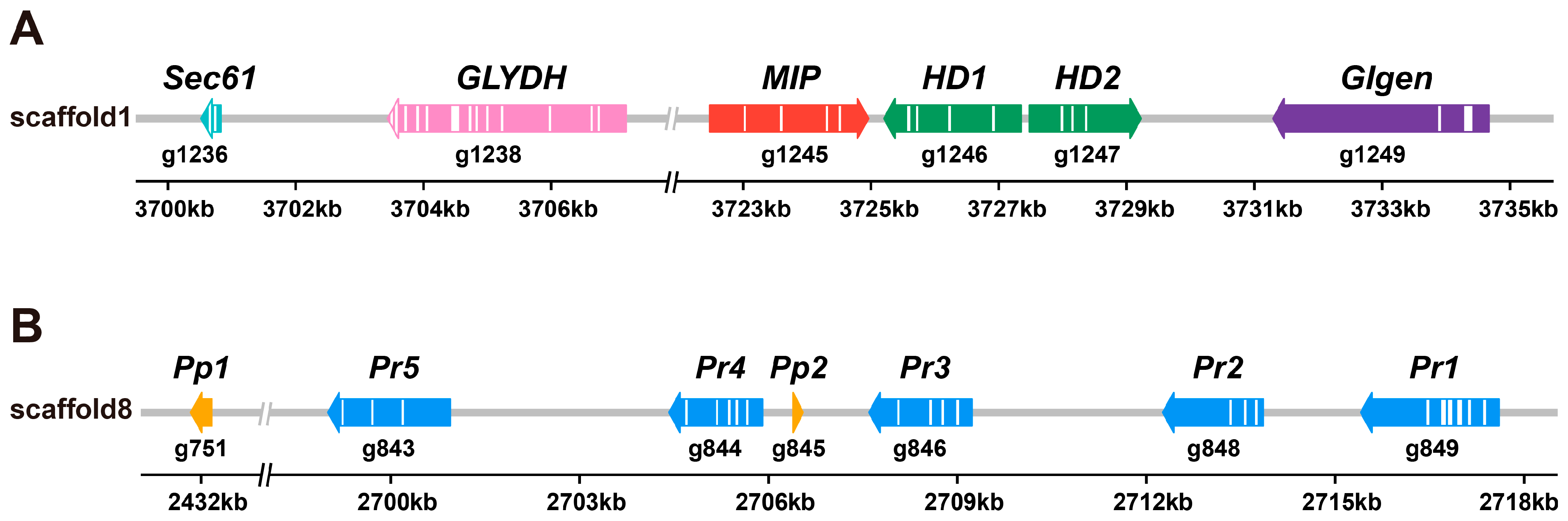 Horticulturae 11 00409 g005
