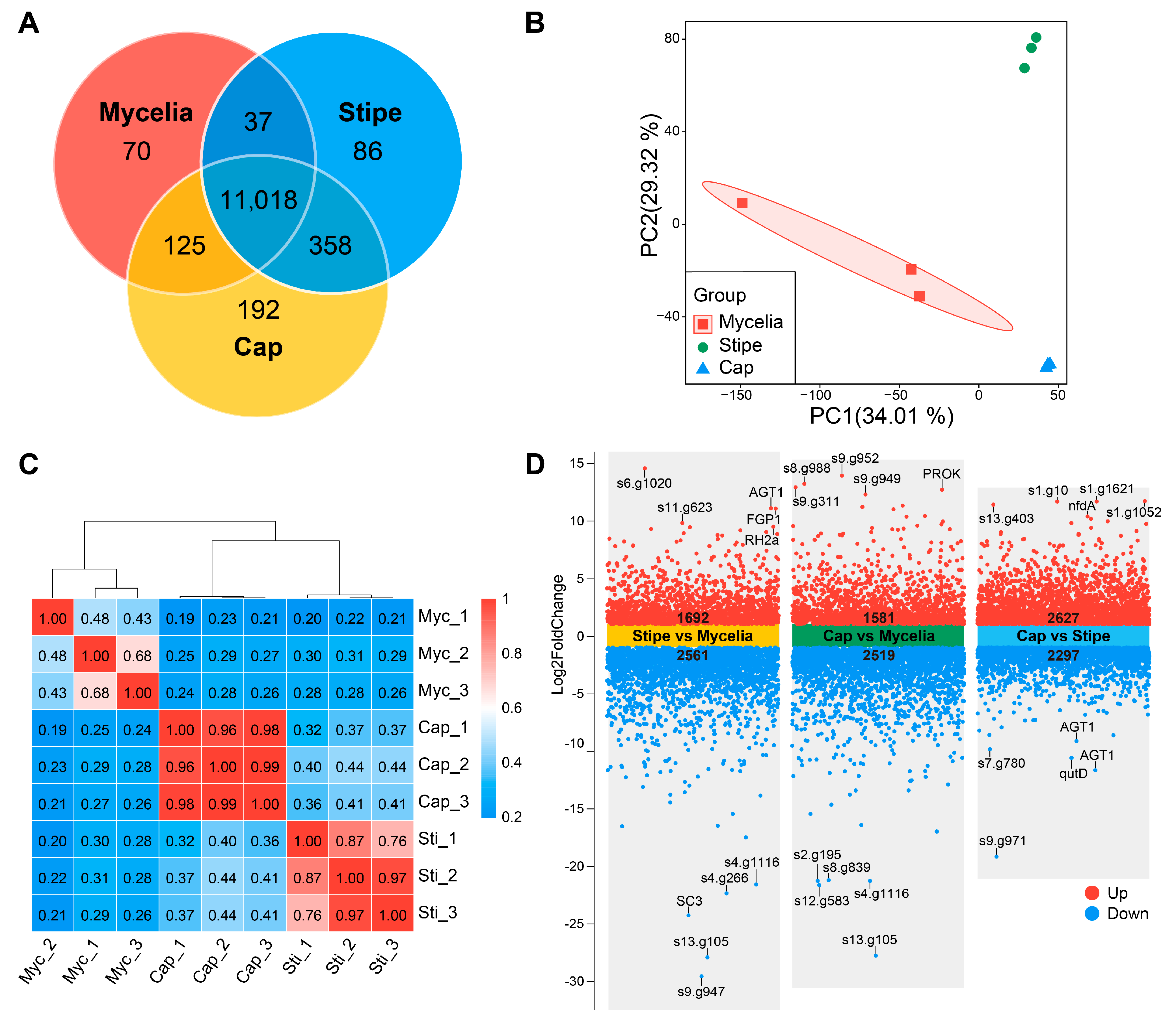 Horticulturae 11 00409 g006