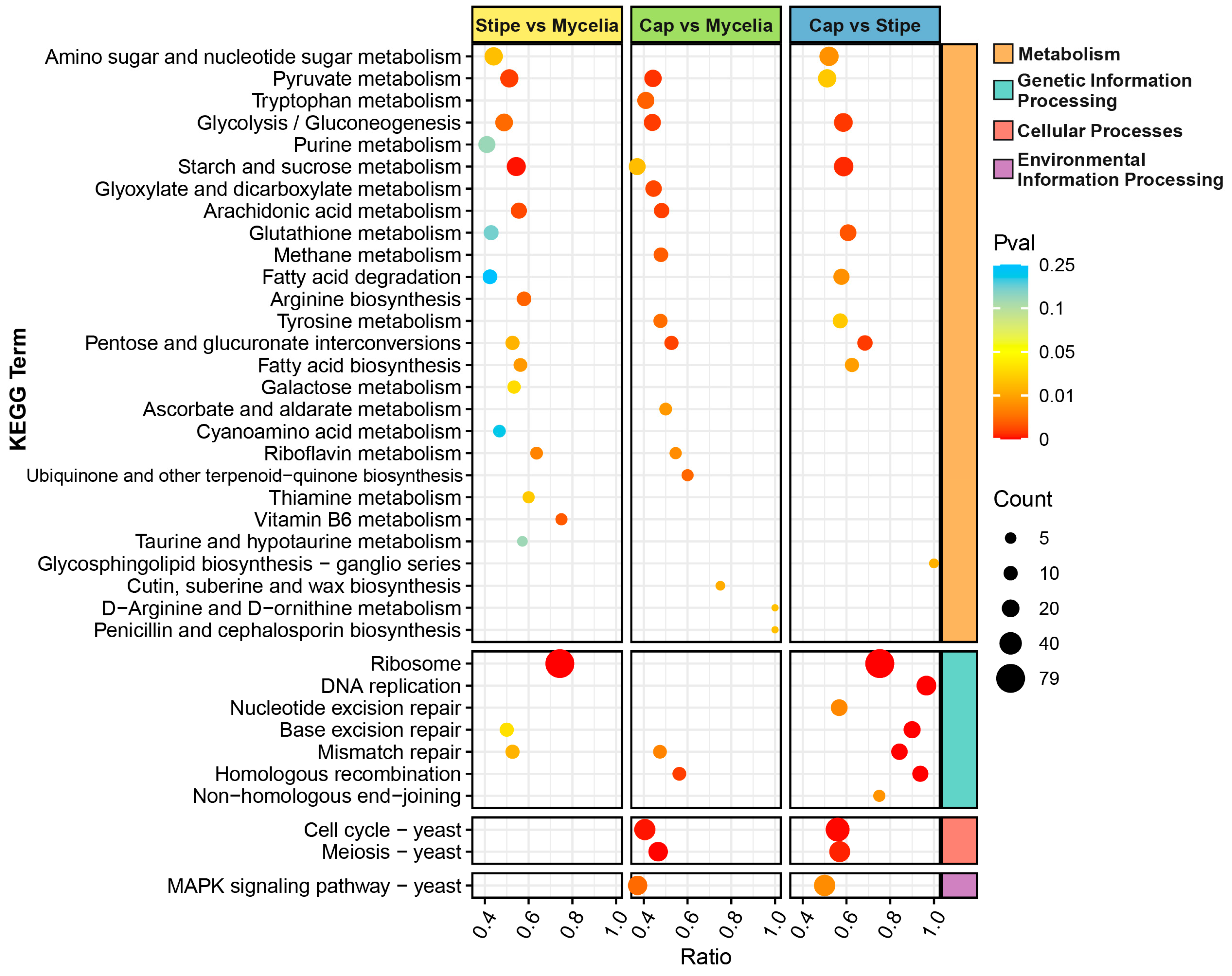 Horticulturae 11 00409 g008