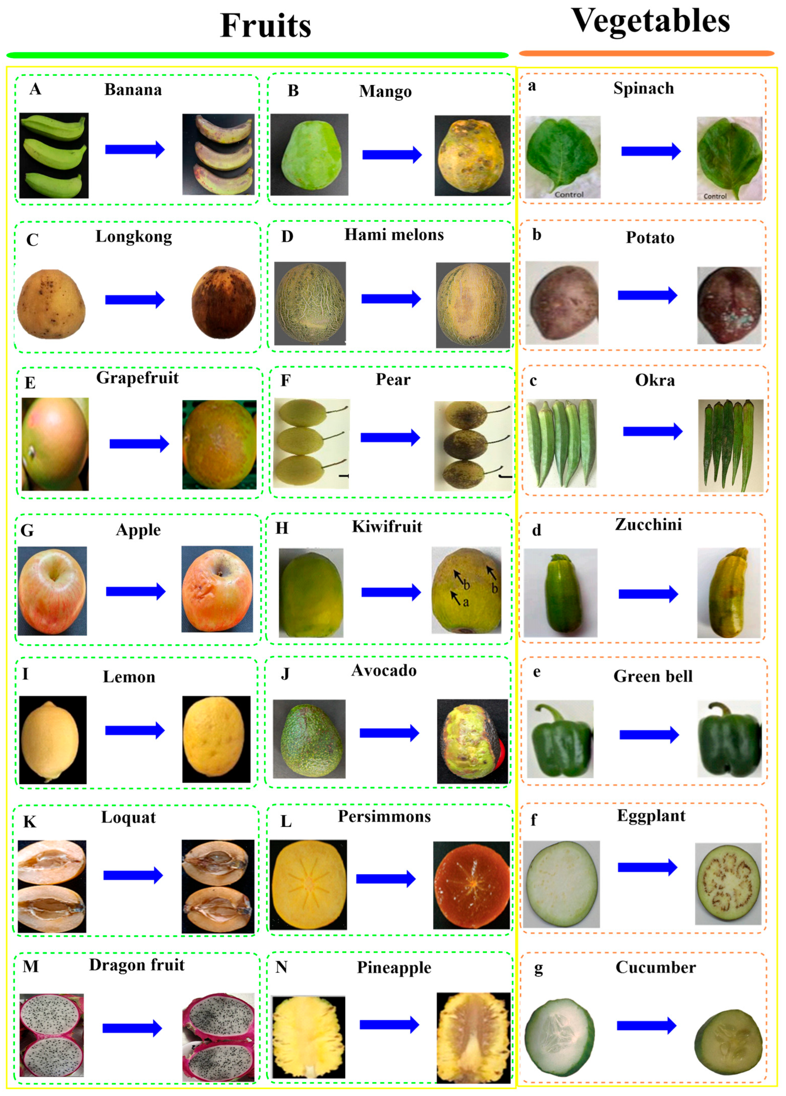 Horticulturae 11 00422 g005