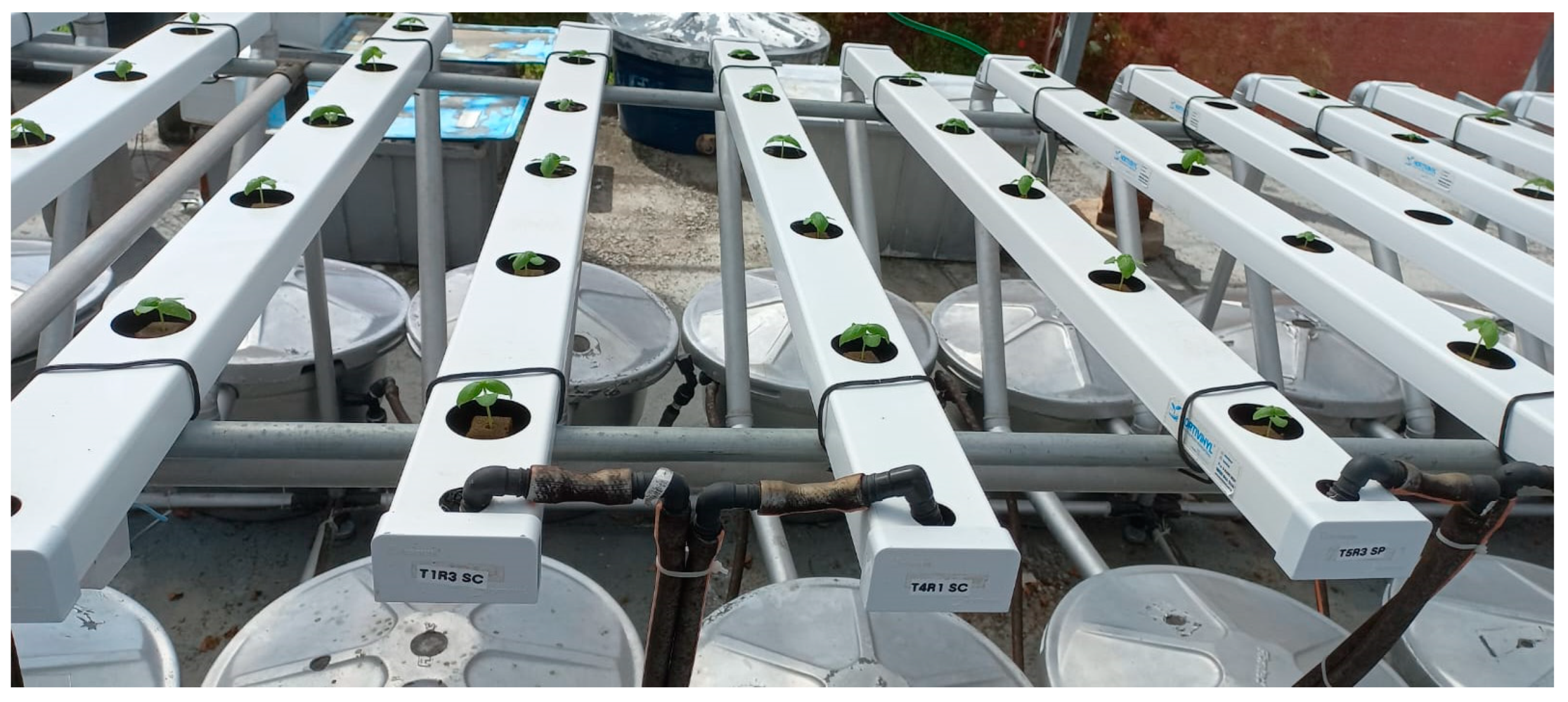 Horticulturae 11 00424 g002